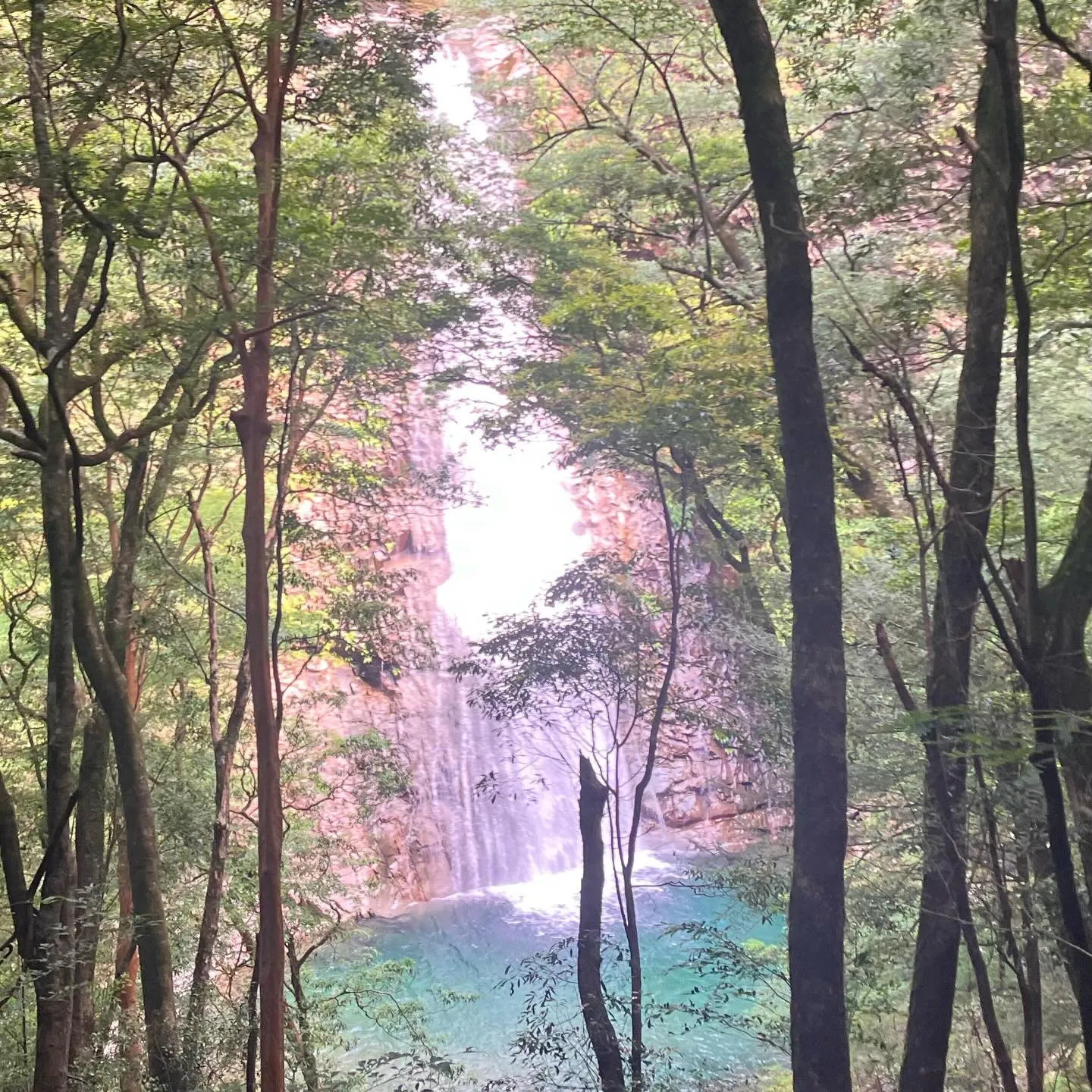 尾鈴山登頂後、白滝コースを下山して、尾鈴山瀑布群の爽やかで大...