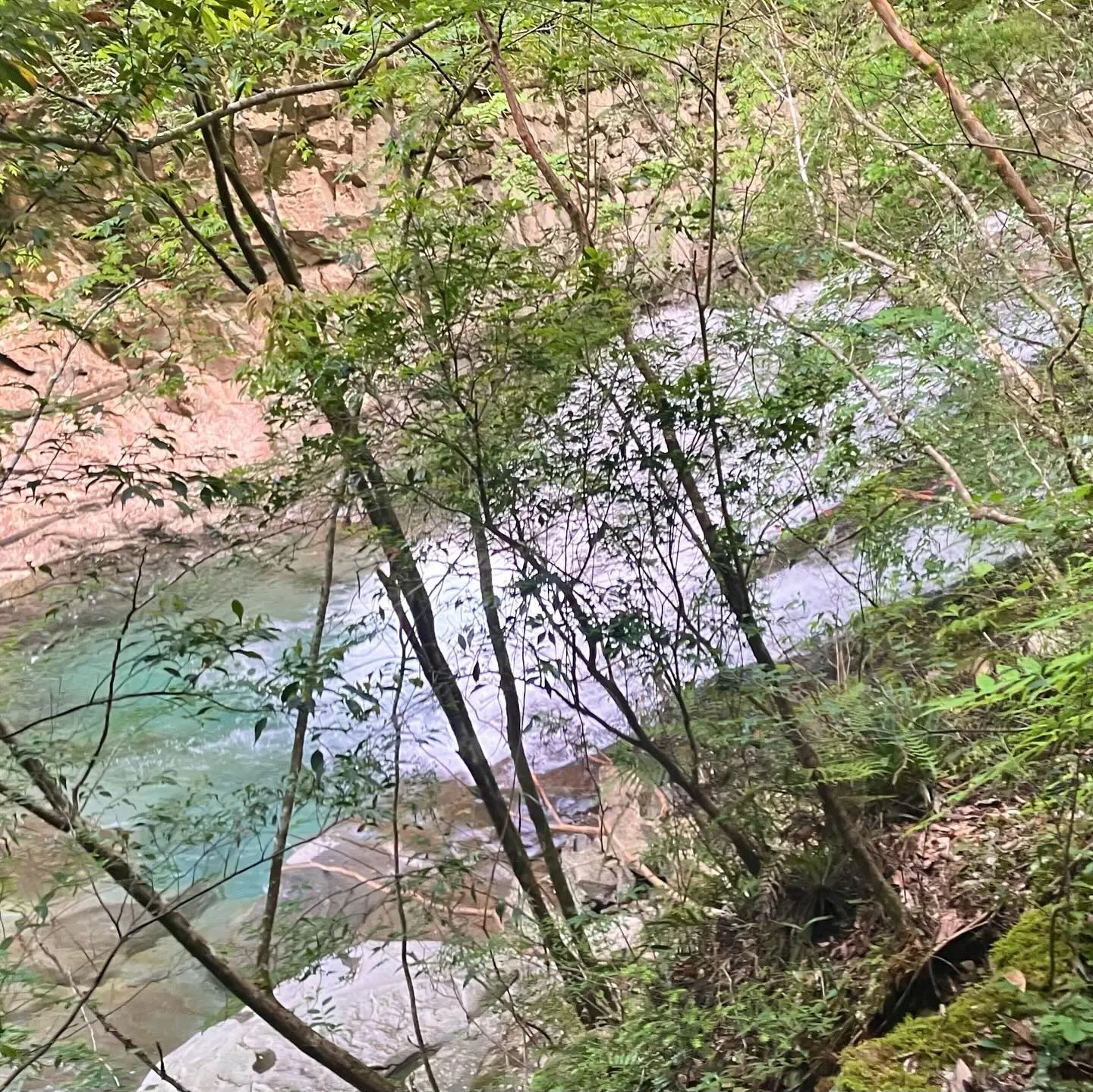 尾鈴山登頂後、白滝コースを下山して、尾鈴山瀑布群の爽やかで大...