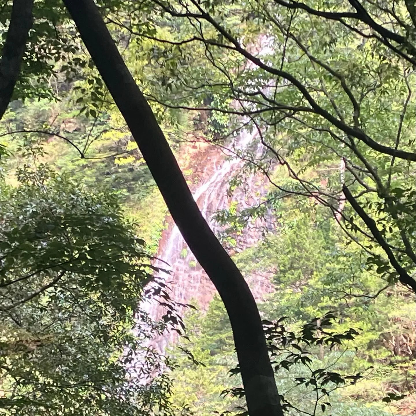 尾鈴山登頂後、白滝コースを下山して、尾鈴山瀑布群の爽やかで大...
