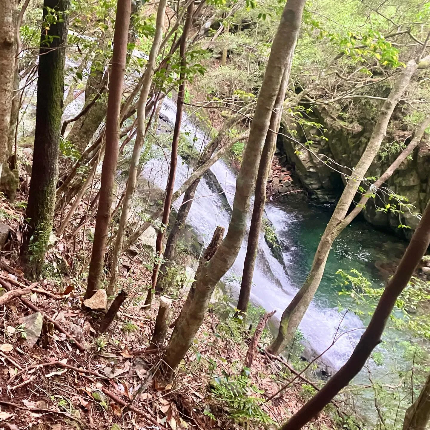 尾鈴山登頂後、白滝コースを下山して、尾鈴山瀑布群の爽やかで大...