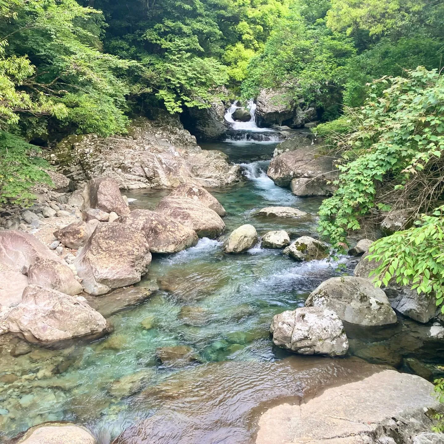 尾鈴山登頂後、白滝コースを下山して、尾鈴山瀑布群の爽やかで大...