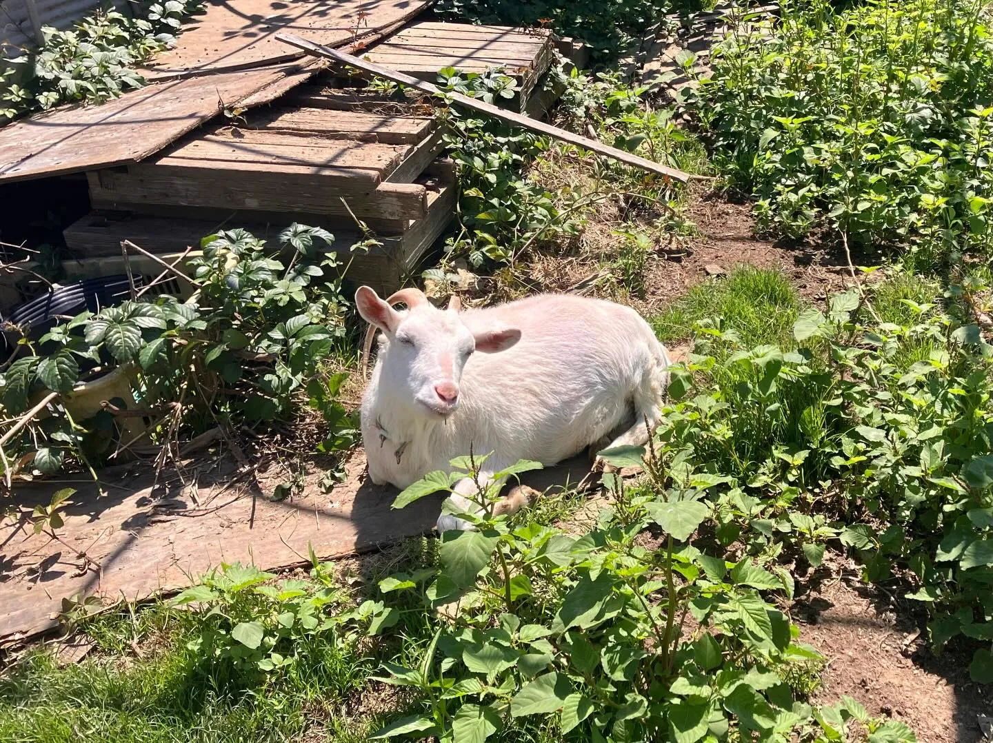 福岡での週末プランに登山はいかが？⛰️