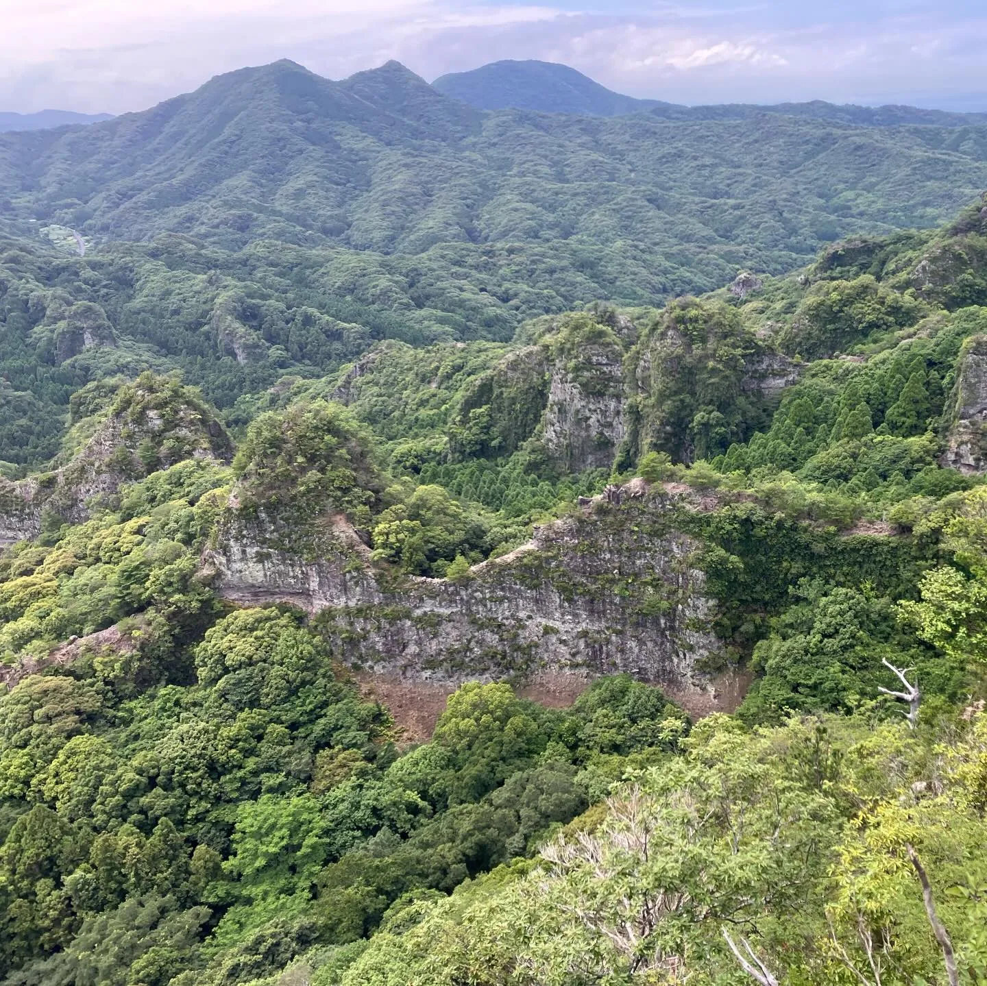 夏風邪をひいて38〜40度の発熱が続いており、しばらく仕事も...
