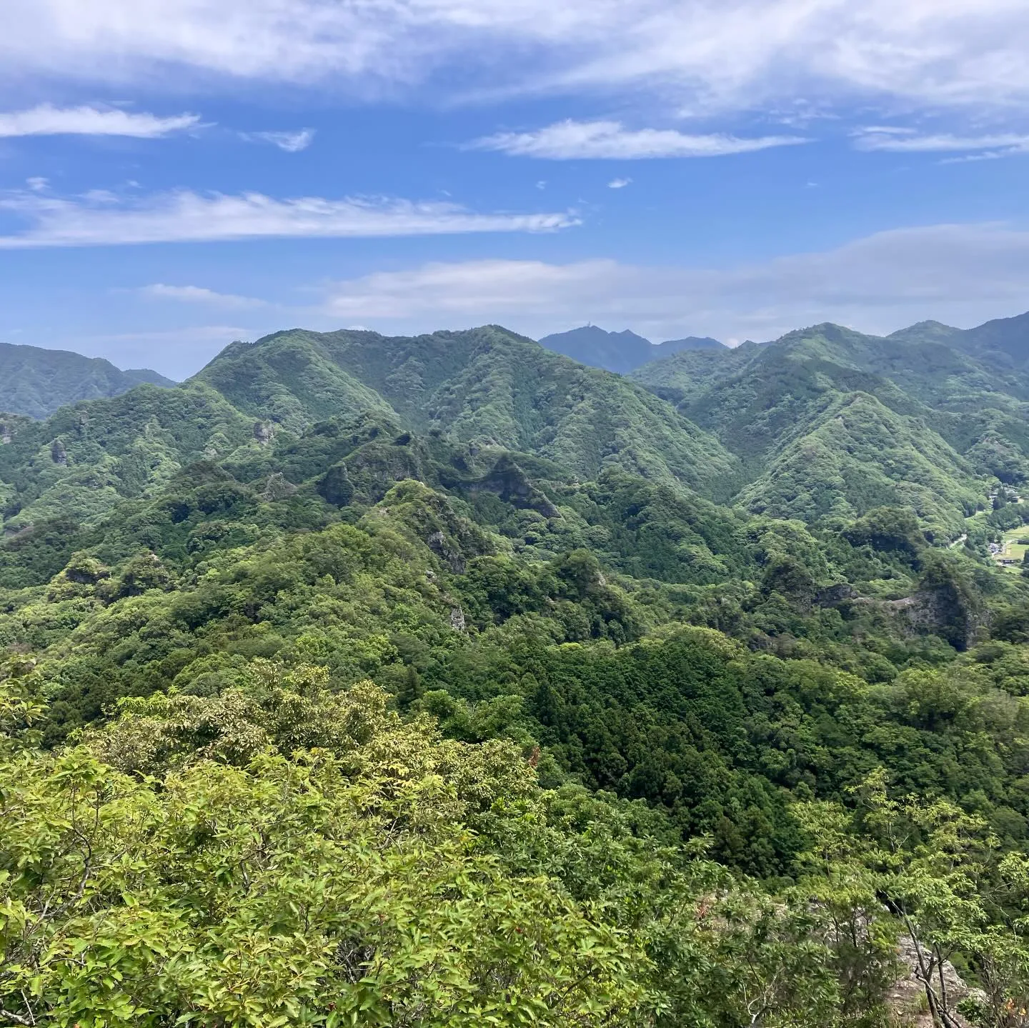 夏風邪をひいて38〜40度の発熱が続いており、しばらく仕事も...