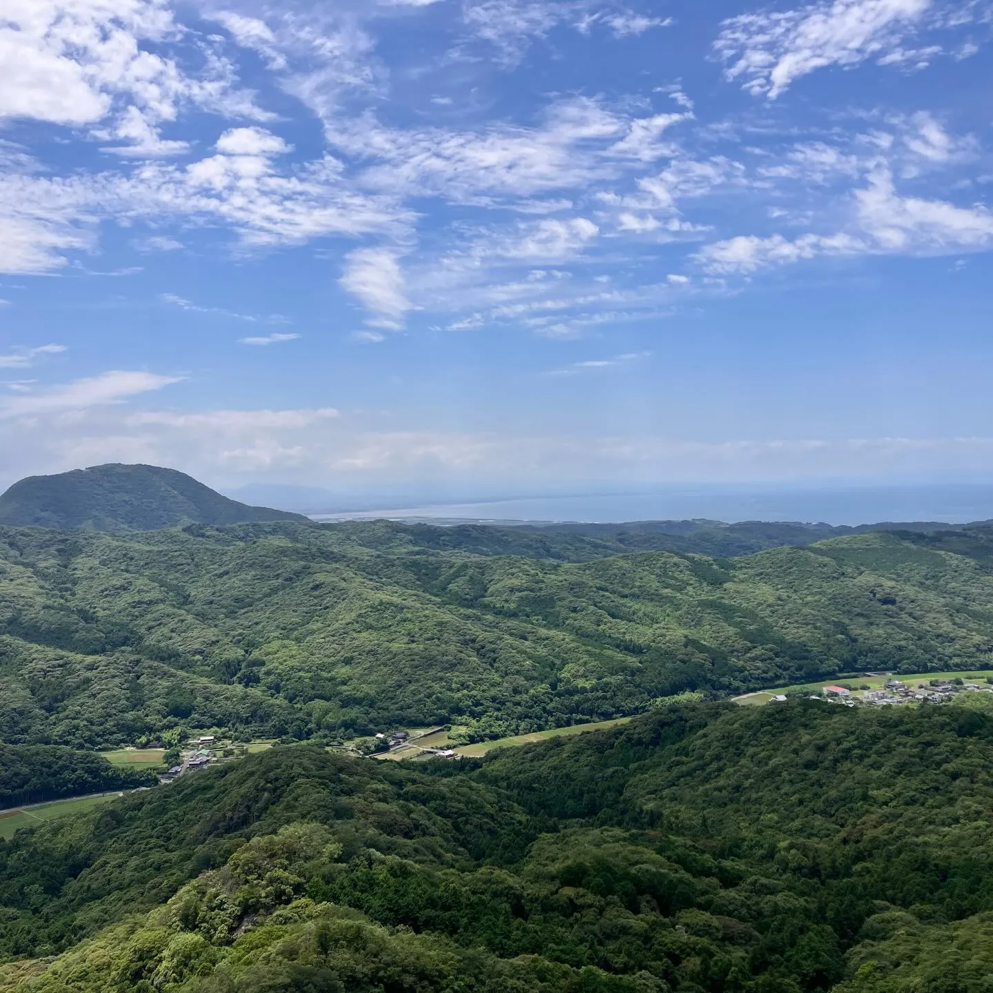夏風邪をひいて38〜40度の発熱が続いており、しばらく仕事も...