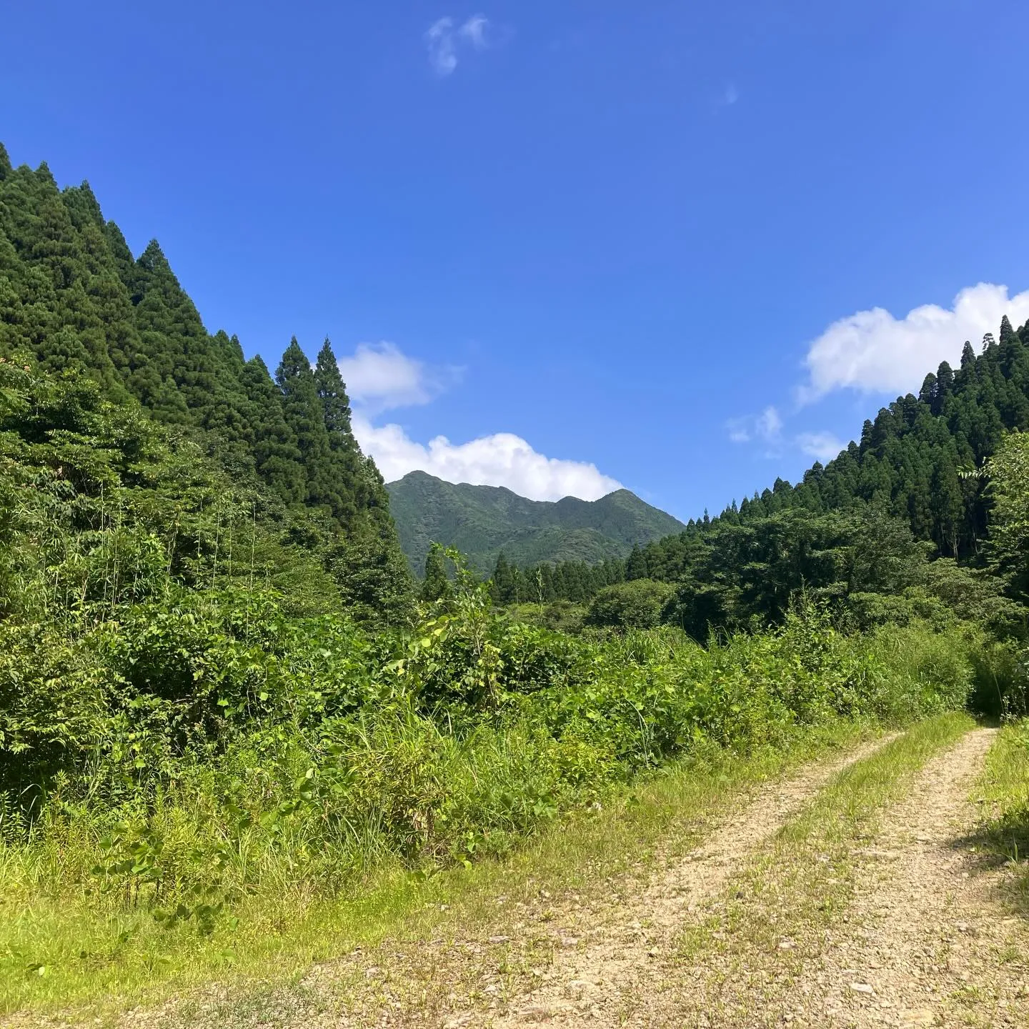 体調不良でずっと安静にしてますので、2週間前の山登りです😷