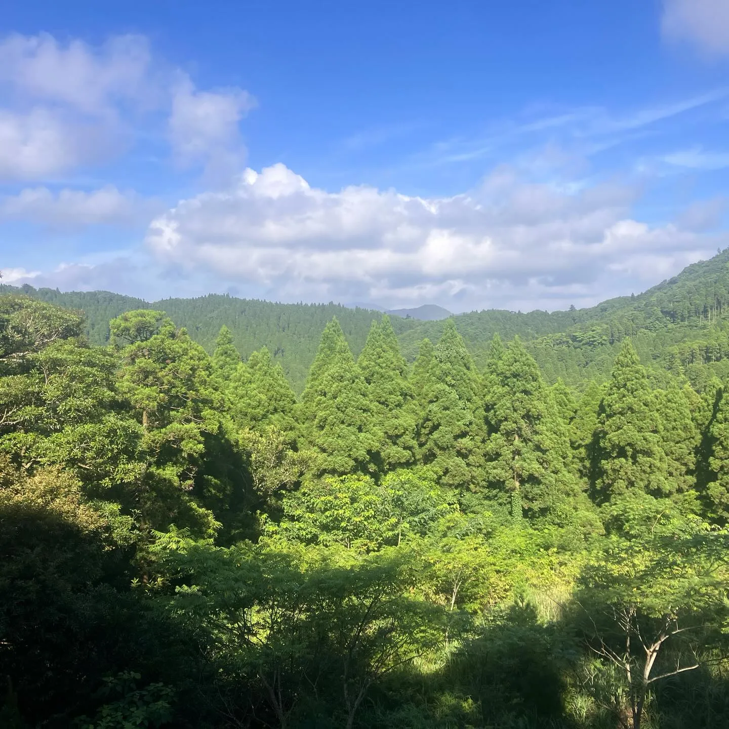 体調不良でずっと安静にしてますので、2週間前の山登りです😷