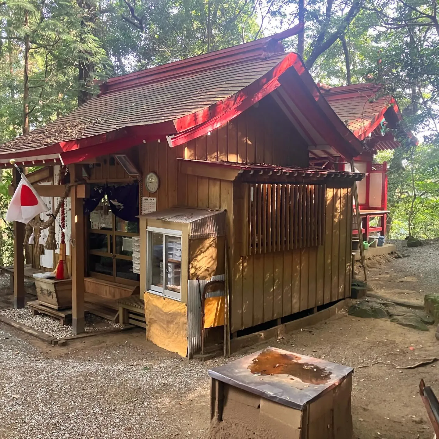 幼稚園と小学校1年生迄住んでいた熊本市✨