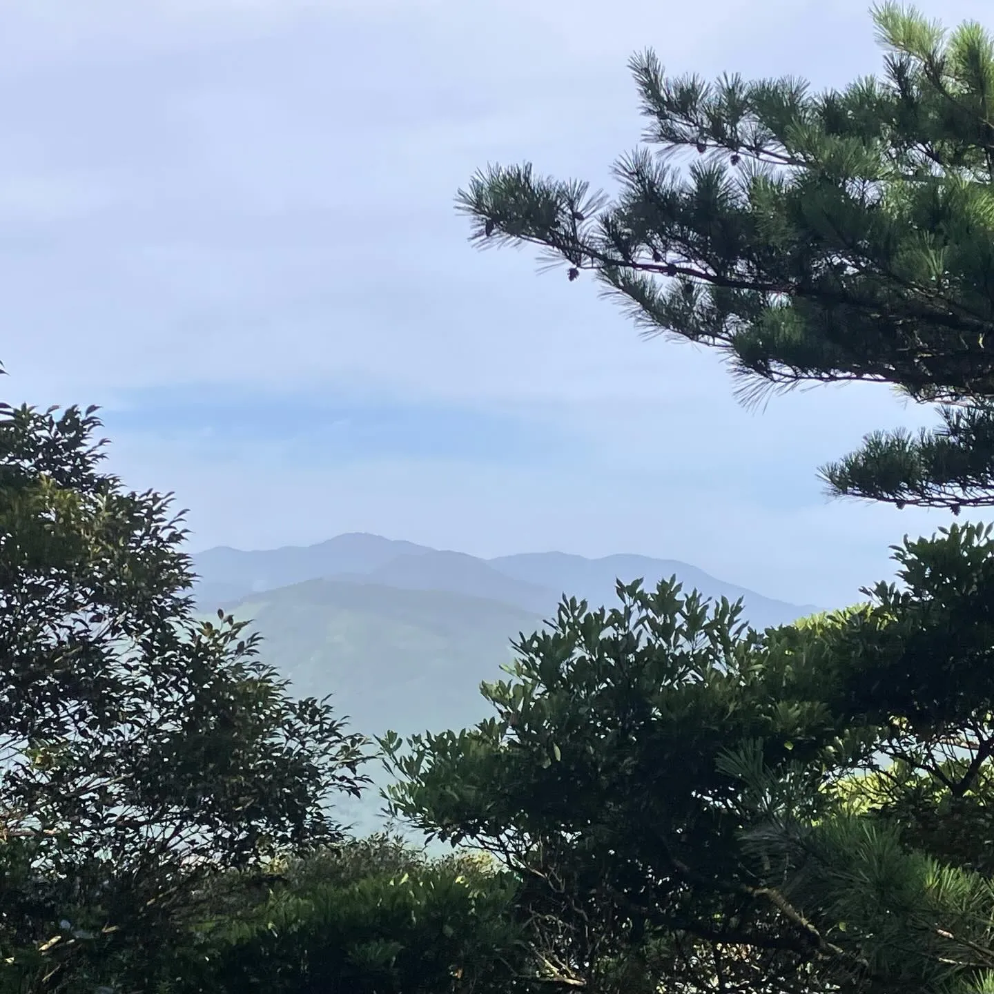 幼稚園と小学校1年生迄住んでいた熊本市✨