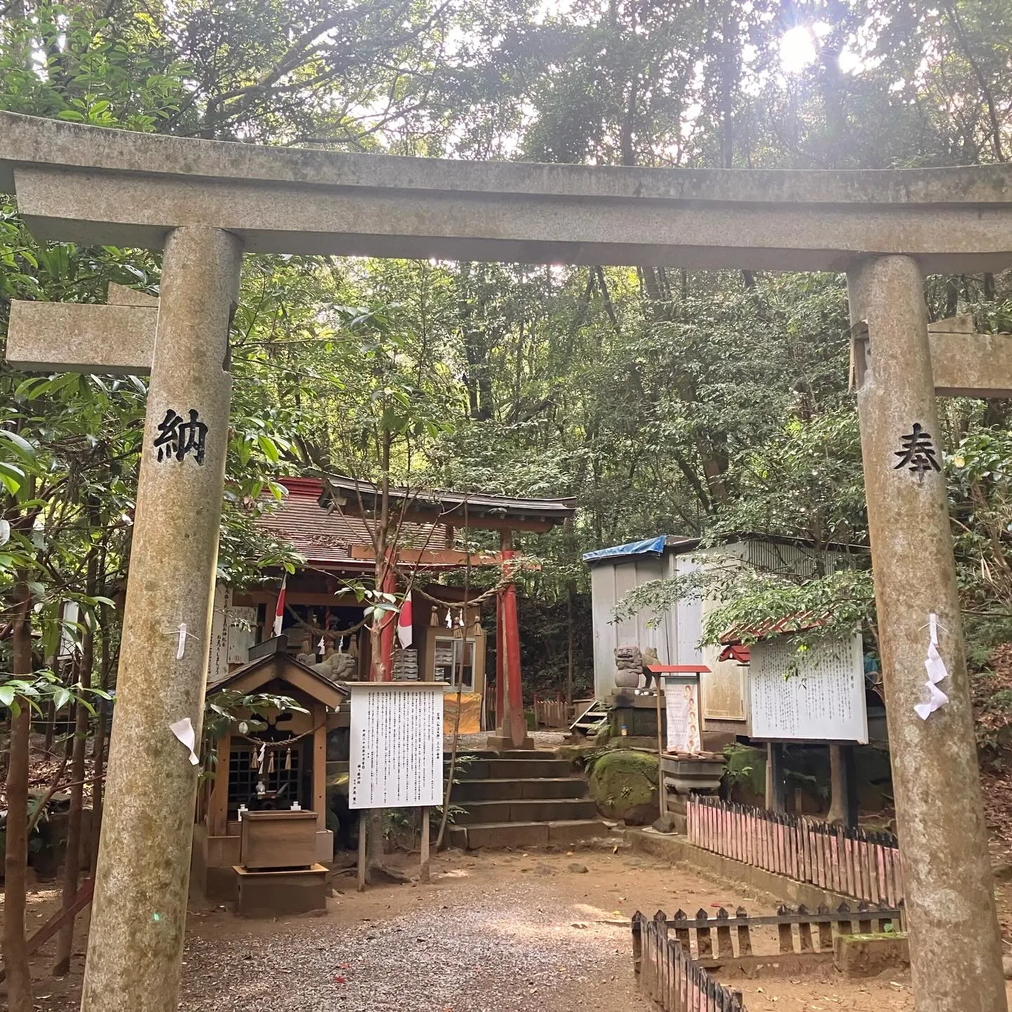 幼稚園と小学校1年生迄住んでいた熊本市✨