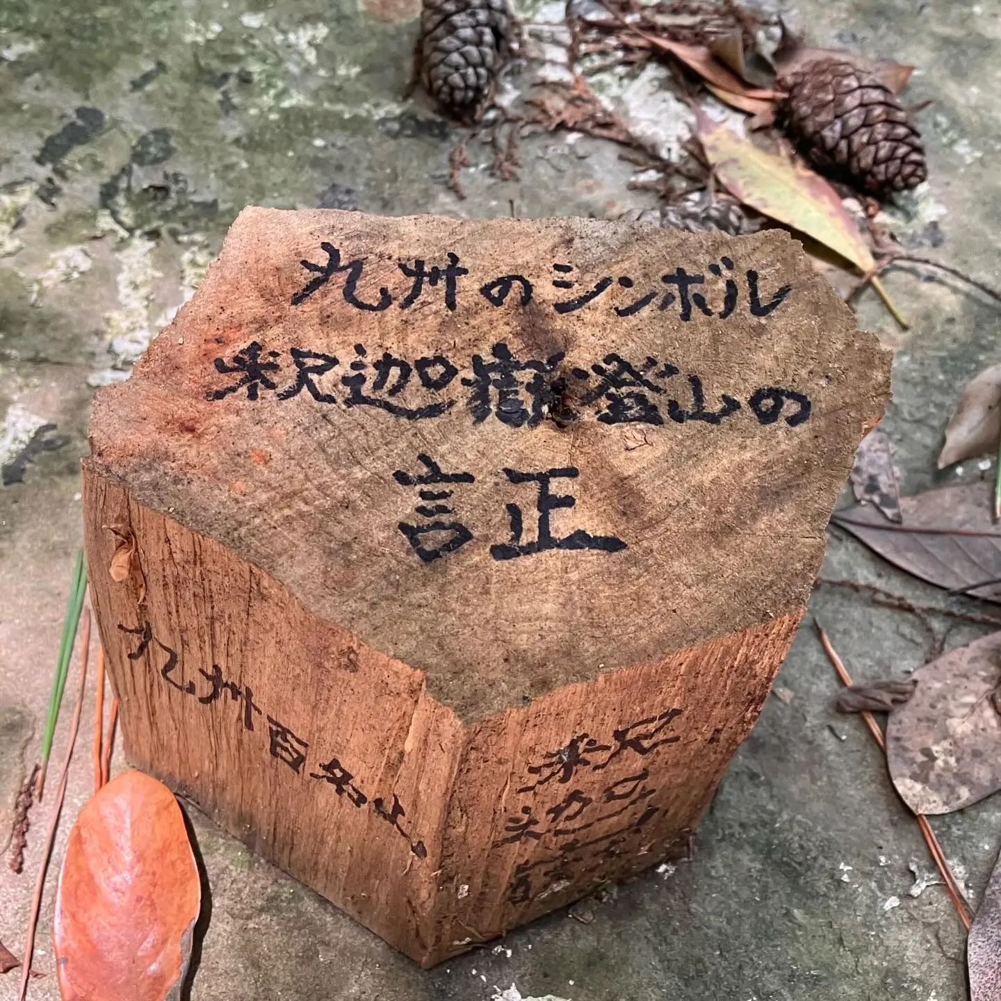 宮崎県国富町の名山 釈迦ヶ岳⛰️