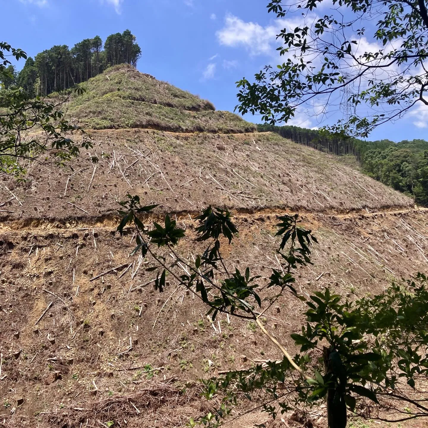 宮崎県国富町の名山 釈迦ヶ岳⛰️