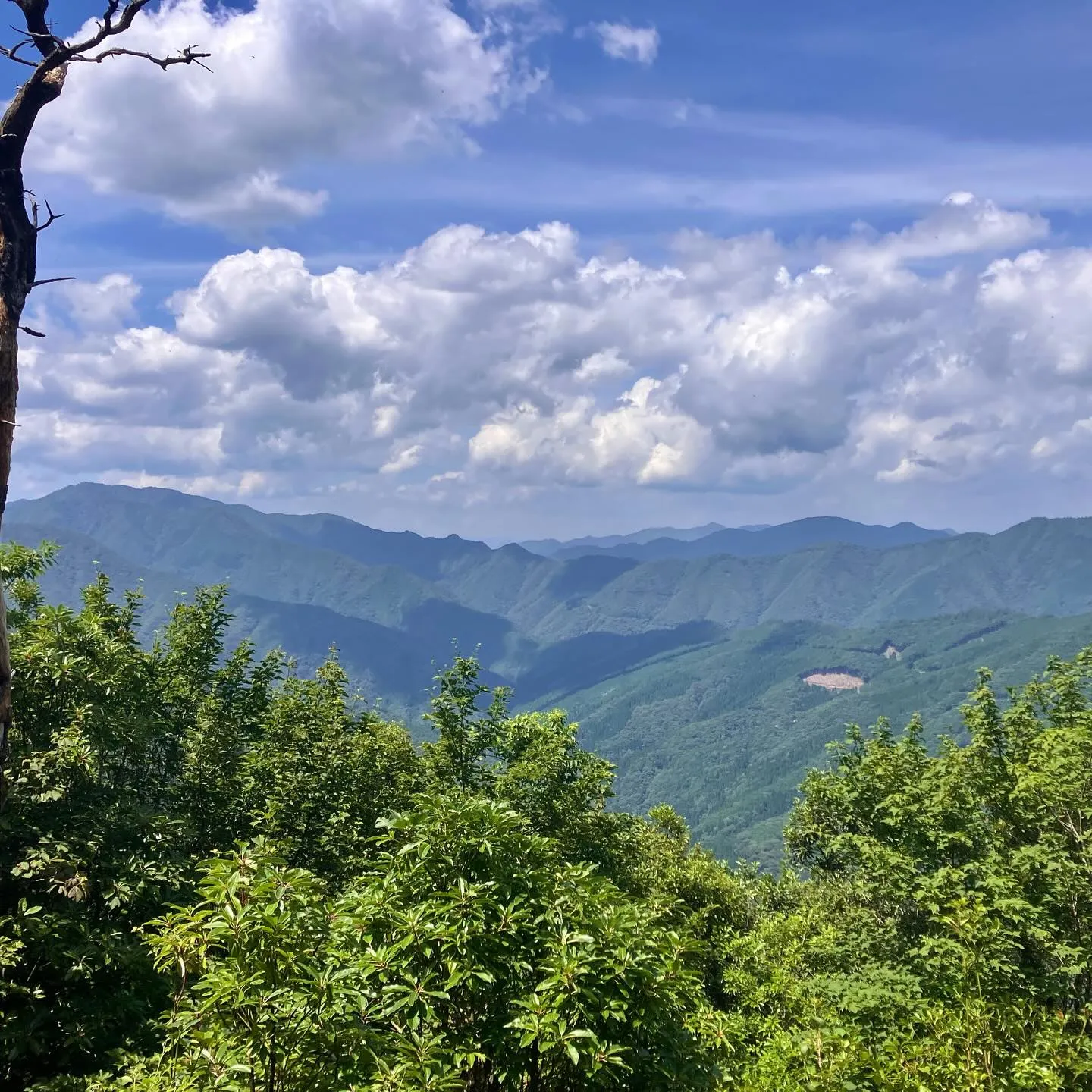 宮崎県国富町の名山 釈迦ヶ岳⛰️
