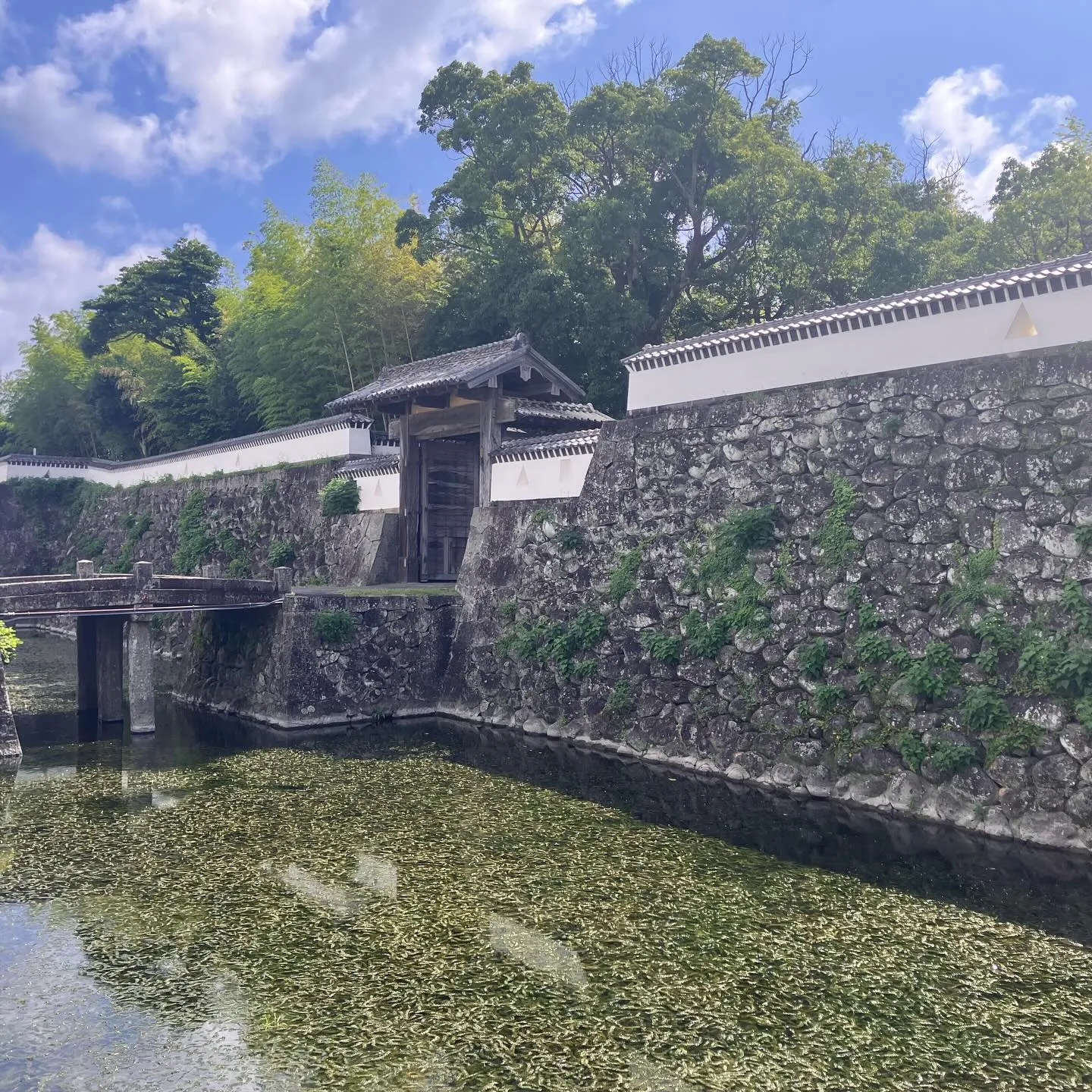 長崎県の離島、福江島の五島市街歩き🚶‍➡️