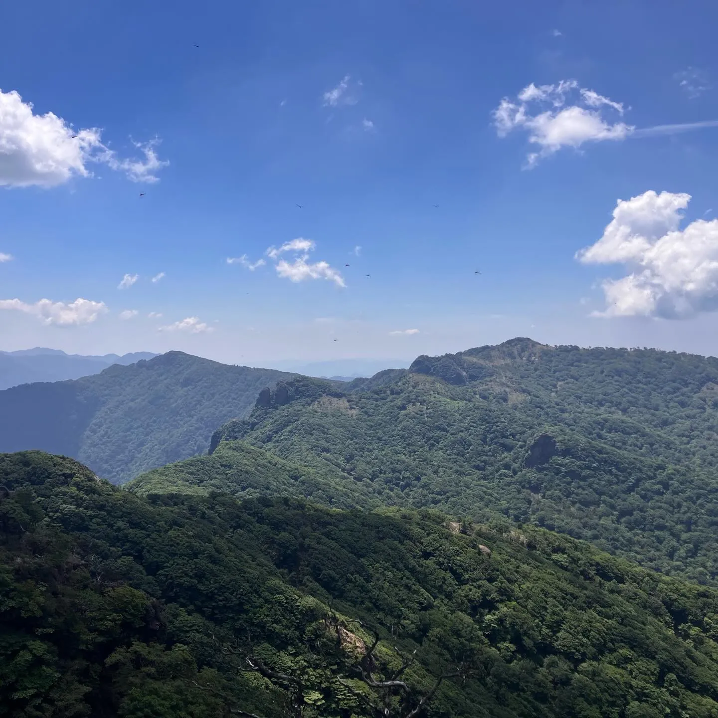 九州山地の盟主で日本百名山の祖母山