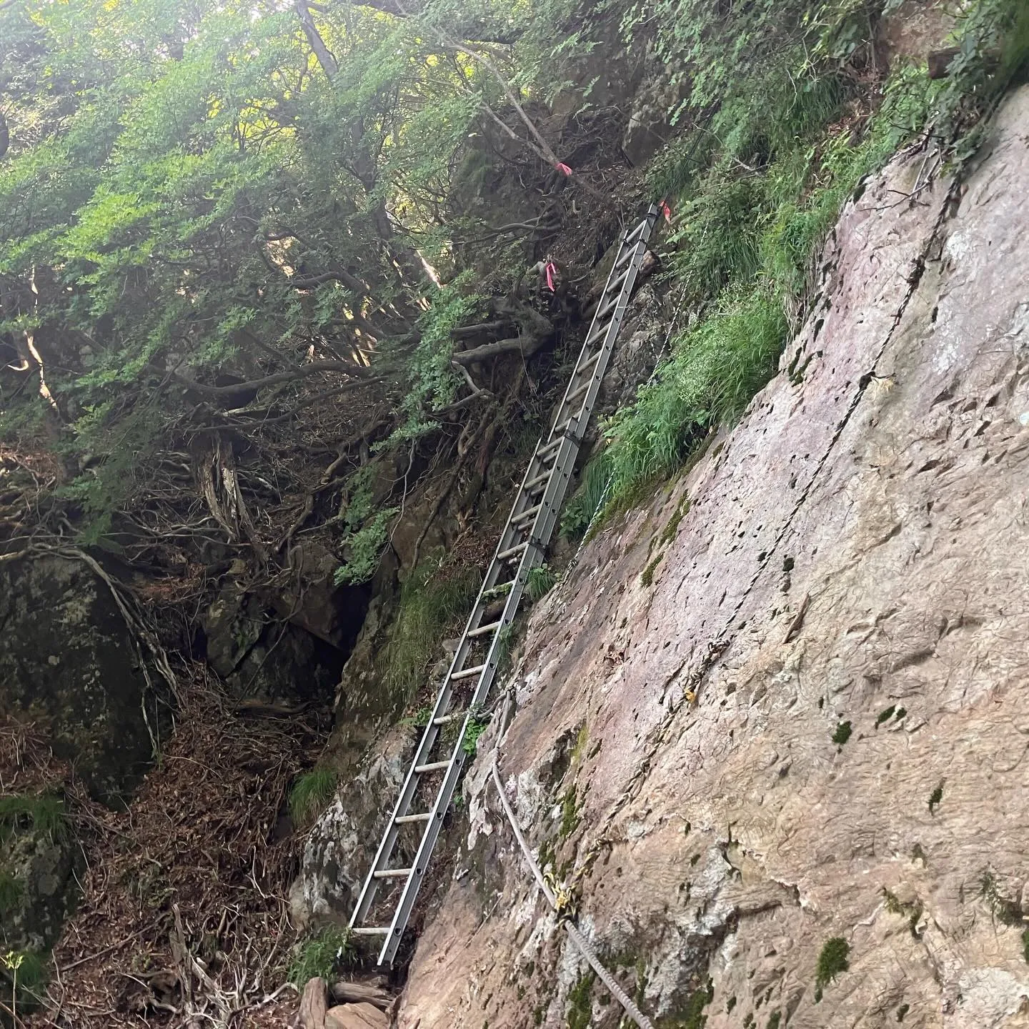 九州山地の盟主で日本百名山の祖母山