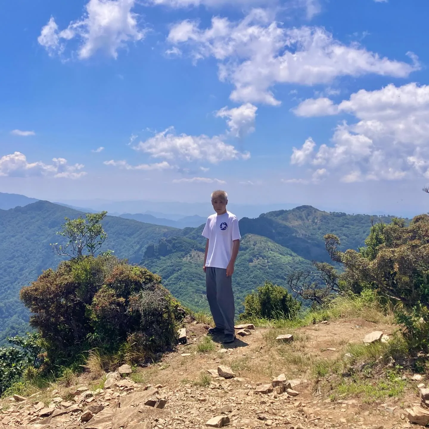 神武天皇の祖母 豊玉姫を祀っている事が山名の由来となっている...