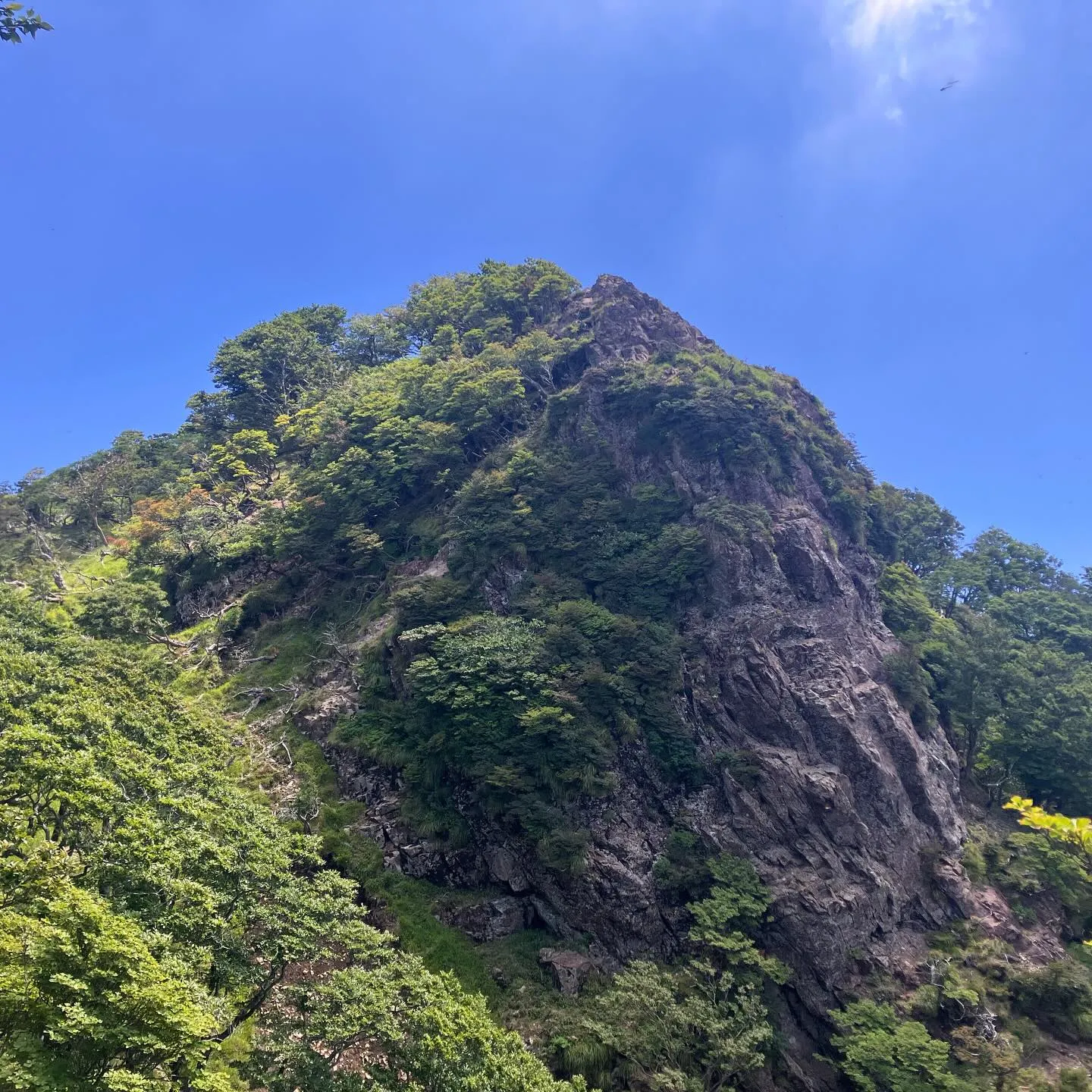 神武天皇の祖母 豊玉姫を祀っている事が山名の由来となっている...