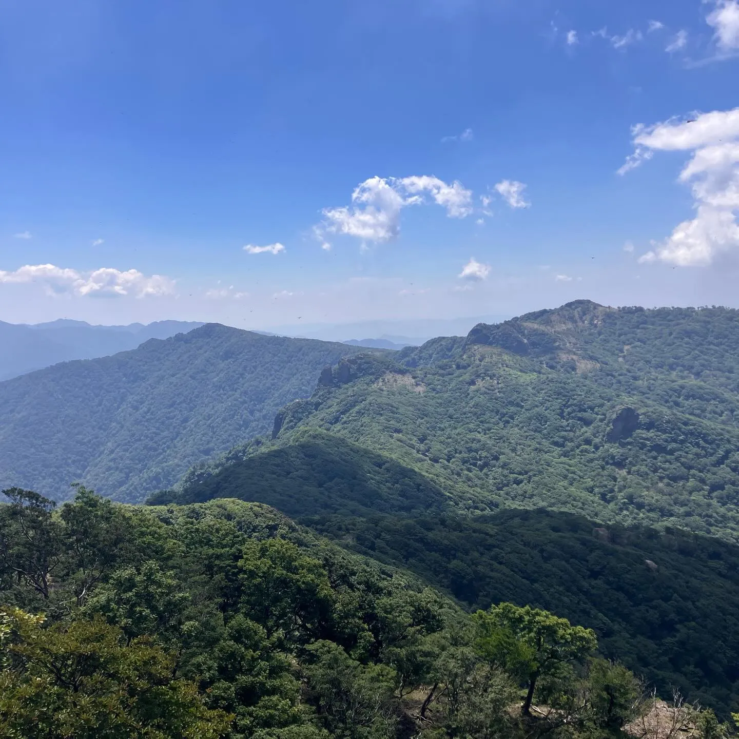 神武天皇の祖母 豊玉姫を祀っている事が山名の由来となっている...
