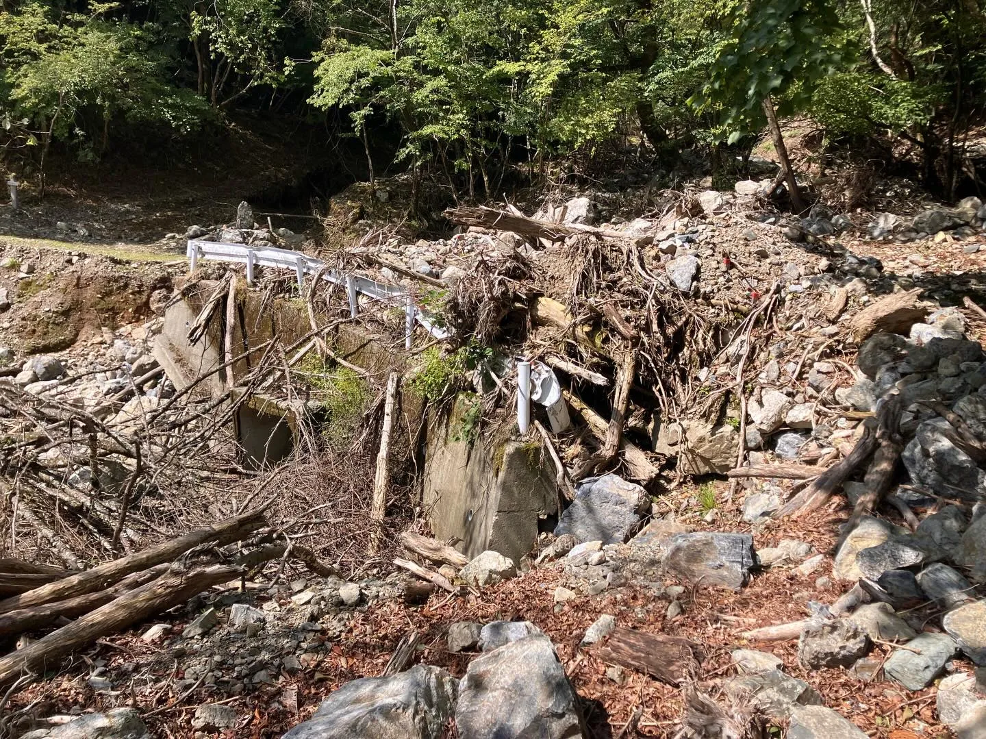 九州の屋根 九州脊梁山地の扇山への登山口迄のアプローチ🚶‍➡...