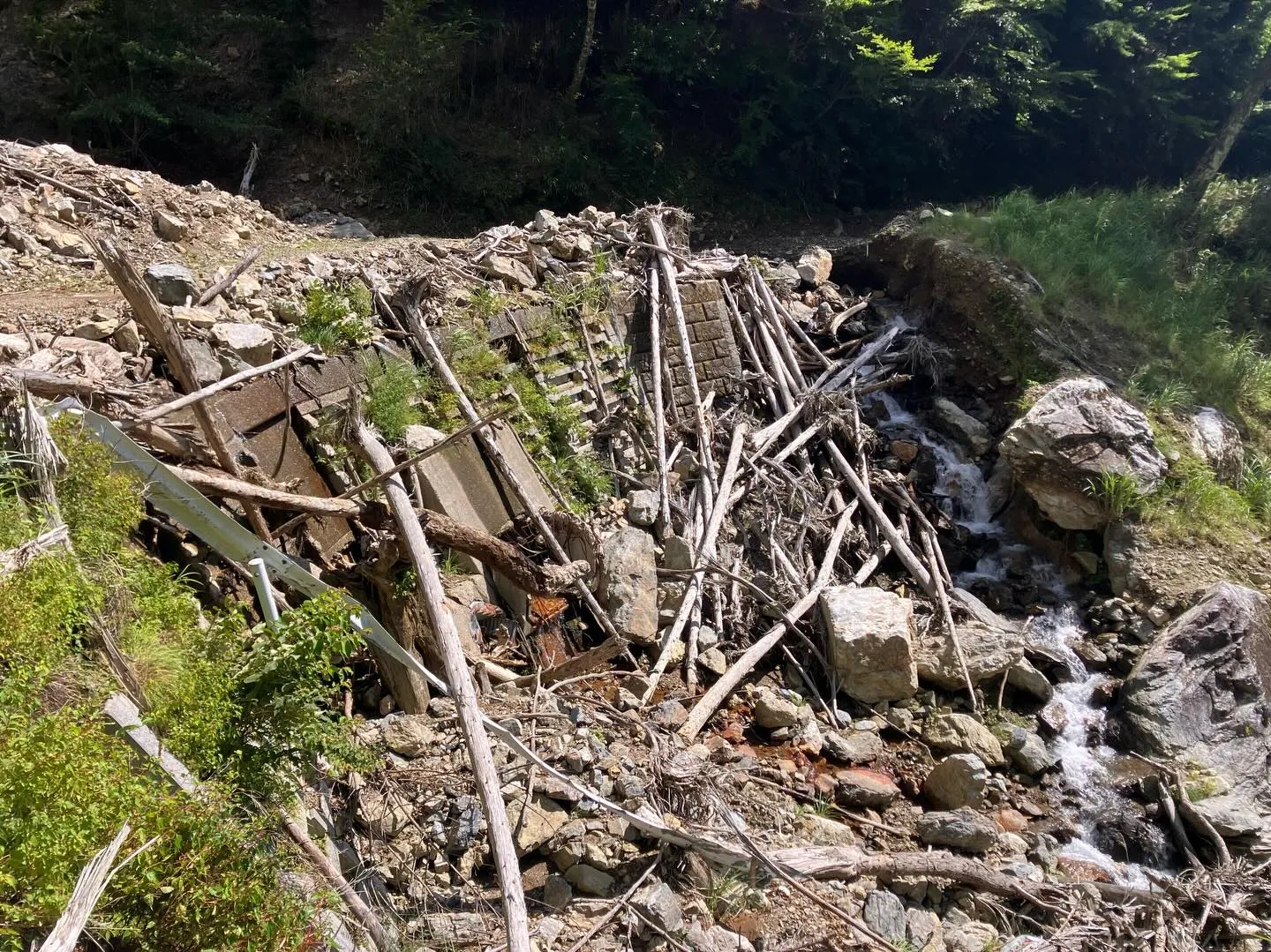 九州の屋根 九州脊梁山地の扇山への登山口迄のアプローチ🚶‍➡...