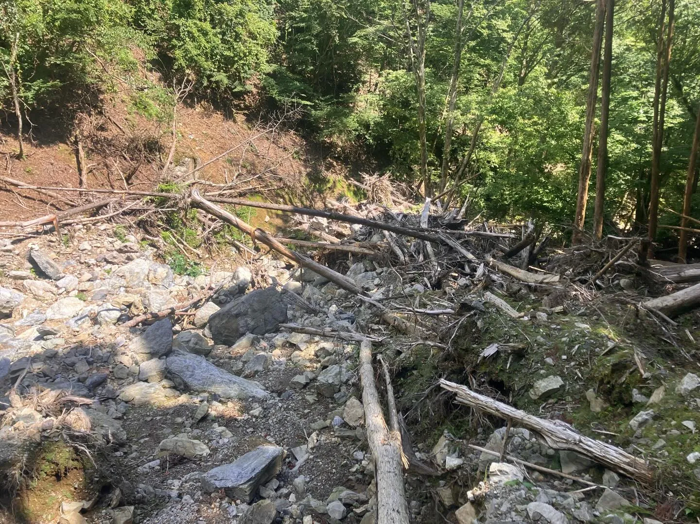 九州の屋根 九州脊梁山地の扇山への登山口迄のアプローチ🚶‍➡...