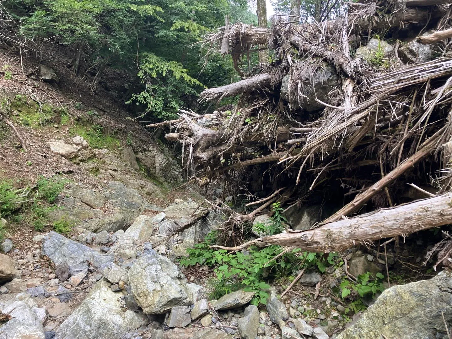 九州の屋根 九州脊梁山地の扇山への登山口迄のアプローチ🚶‍➡...