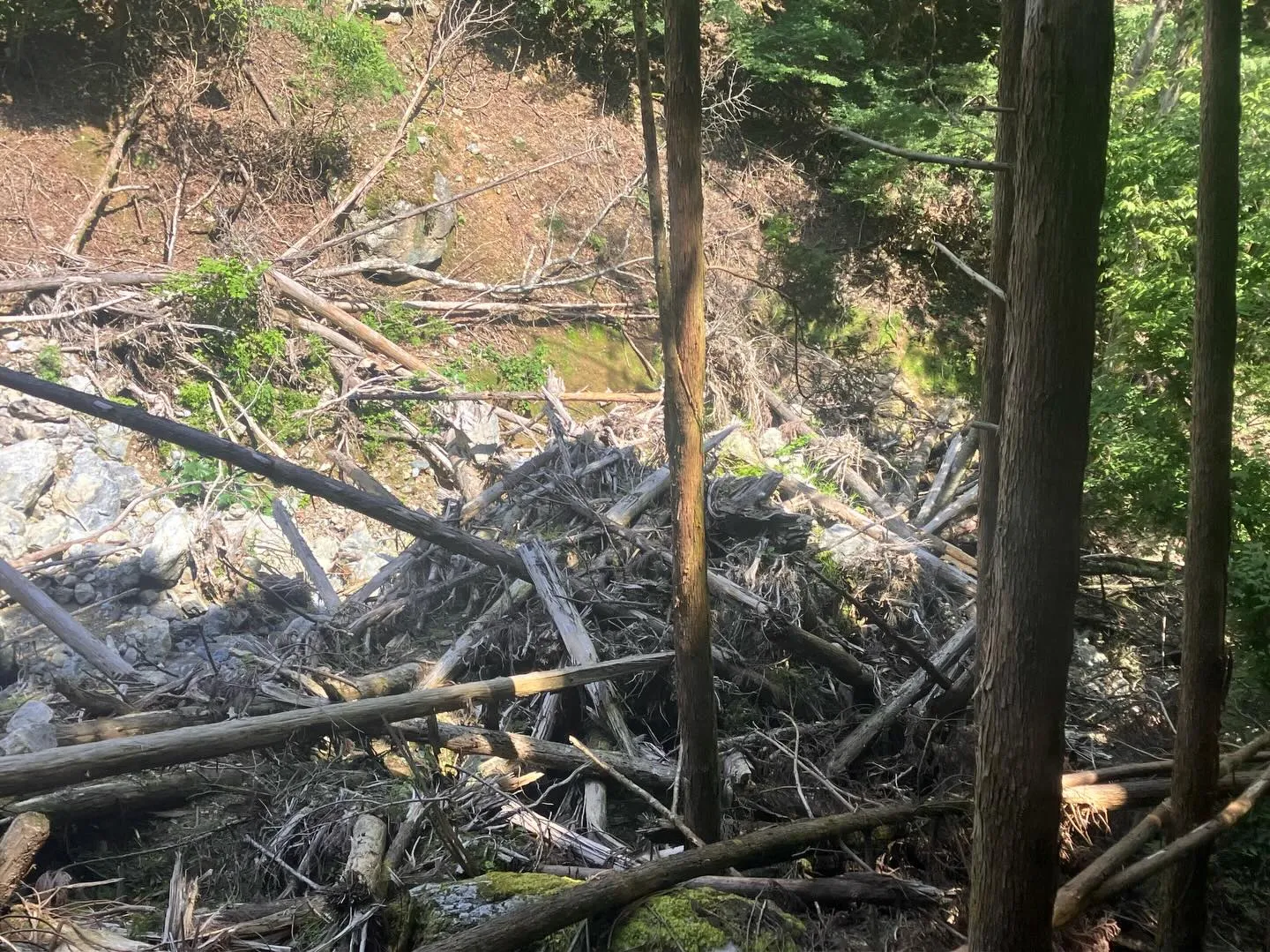 九州の屋根 九州脊梁山地の扇山への登山口迄のアプローチ🚶‍➡...