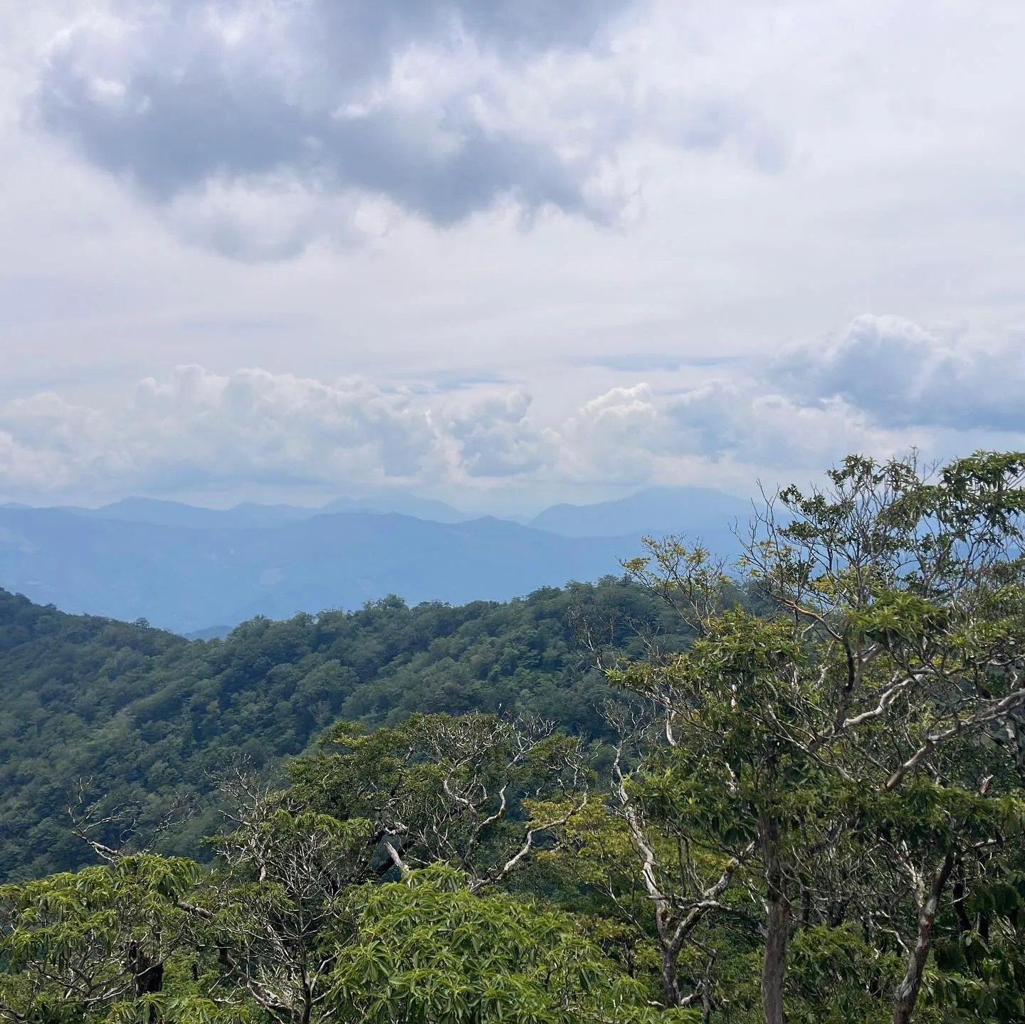 九州脊梁山地の名峰 扇山 1,662m⛰️