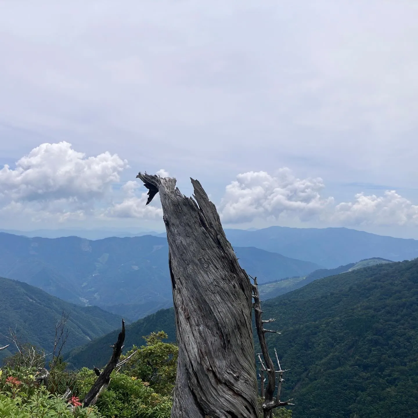 九州脊梁山地の名峰 扇山 1,662m⛰️