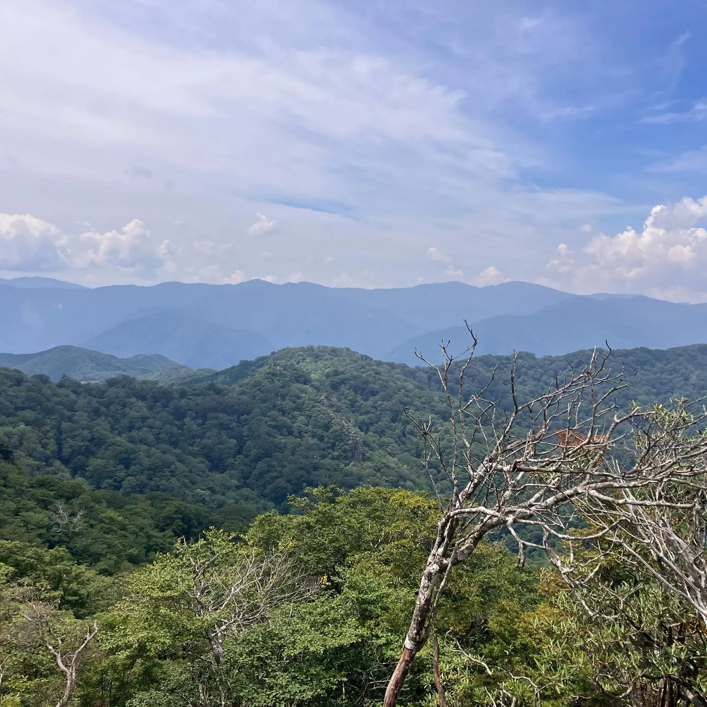 九州脊梁山地の名峰 扇山 1,662m⛰️