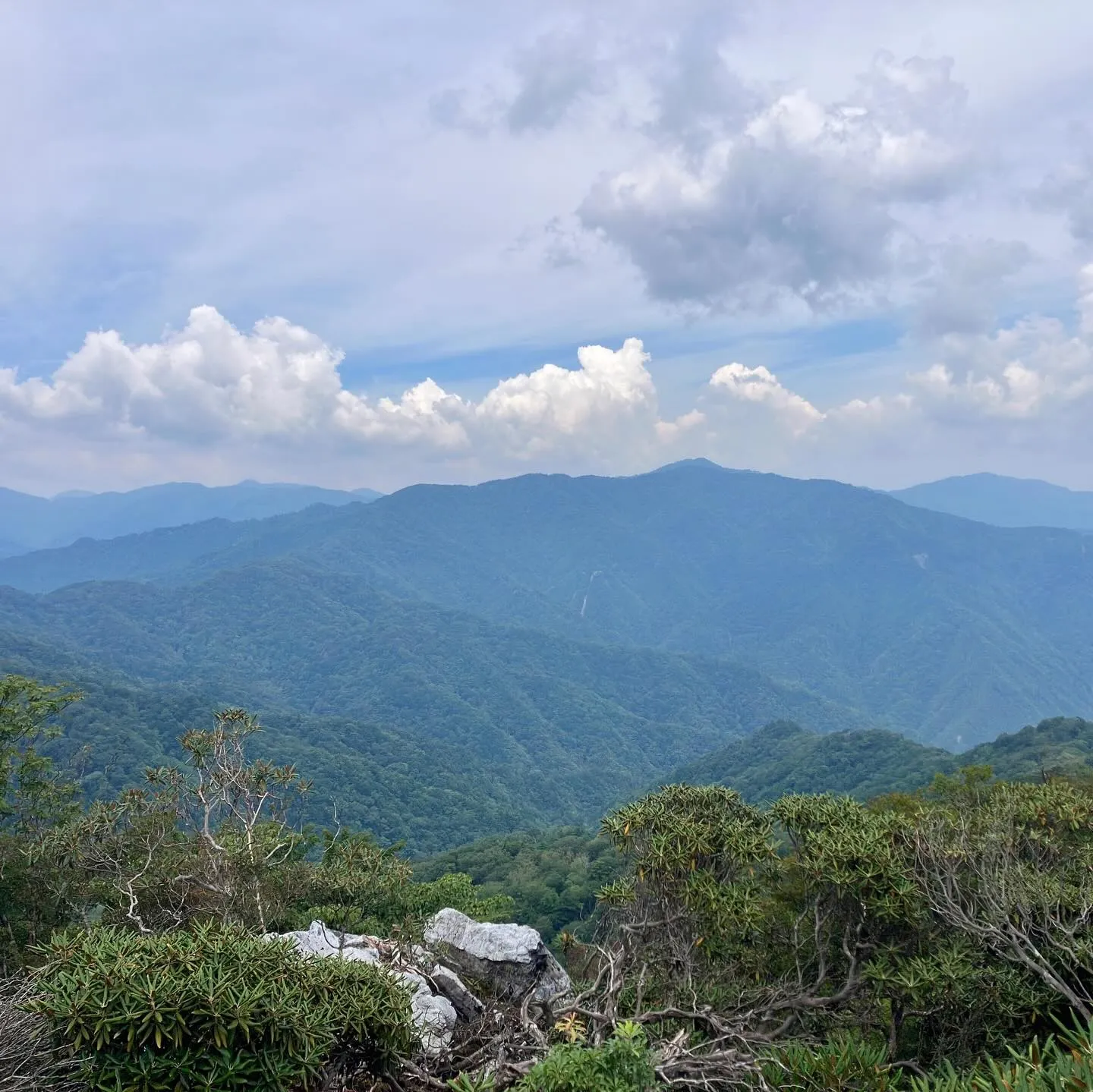 九州脊梁山地の名峰 扇山 1,662m⛰️
