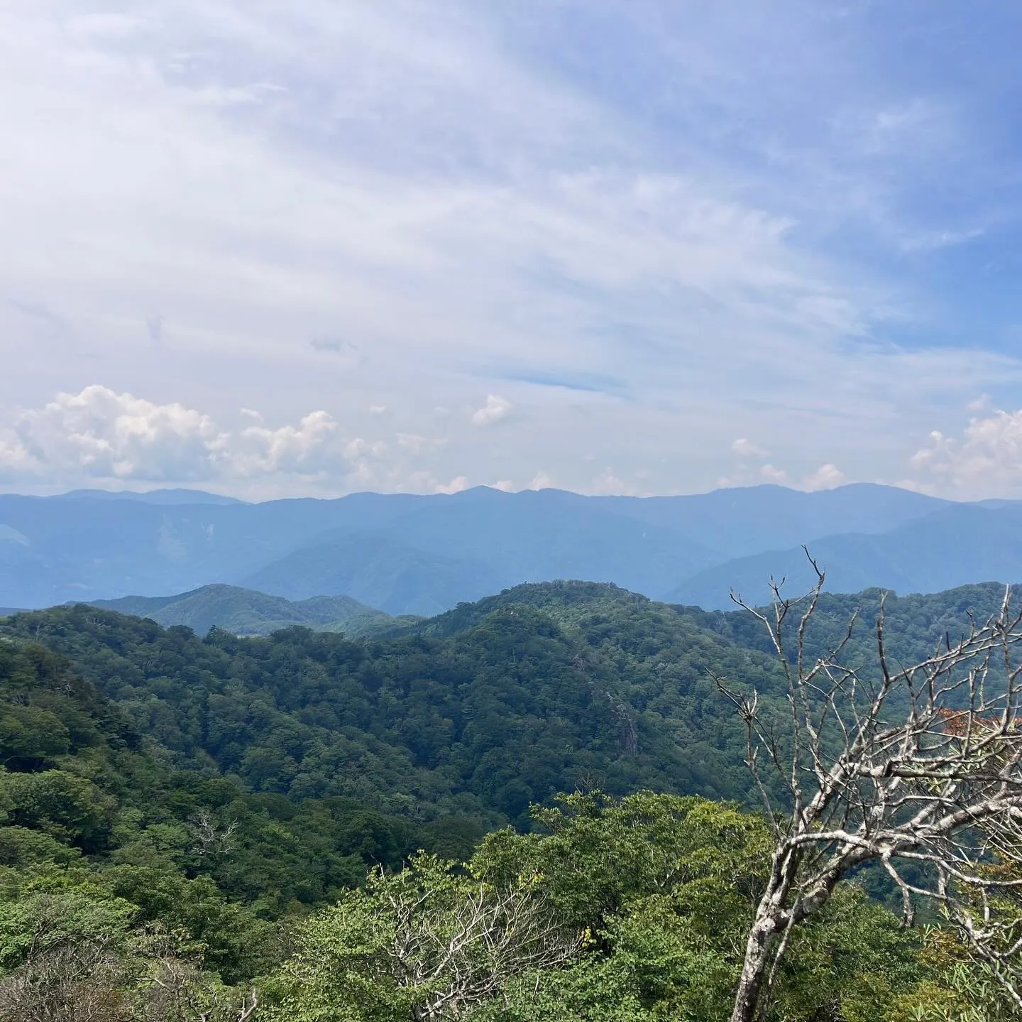 九州脊梁山地の名峰 扇山 1,662m⛰️