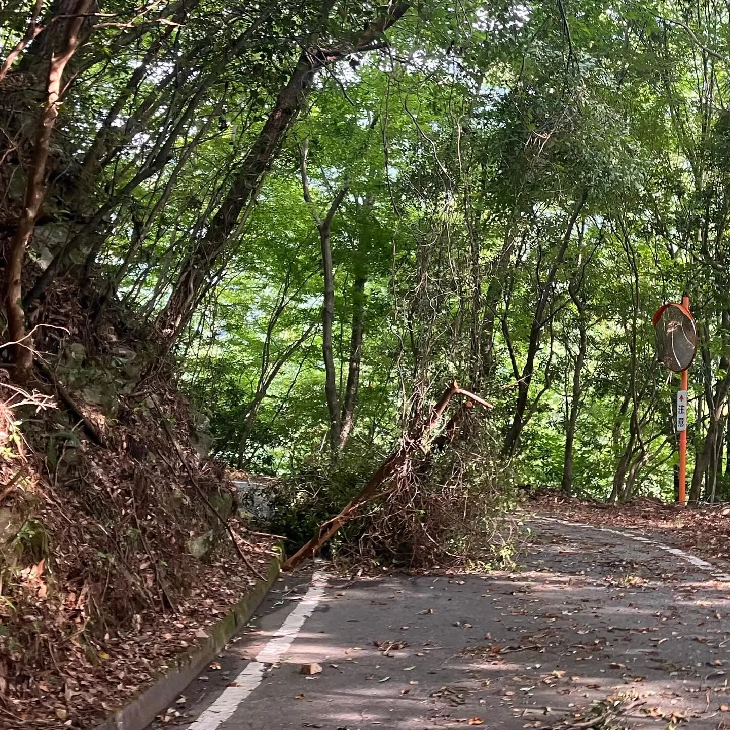 九州の屋根 九州脊梁山地の名峰 扇山へのアクセスロード🚙