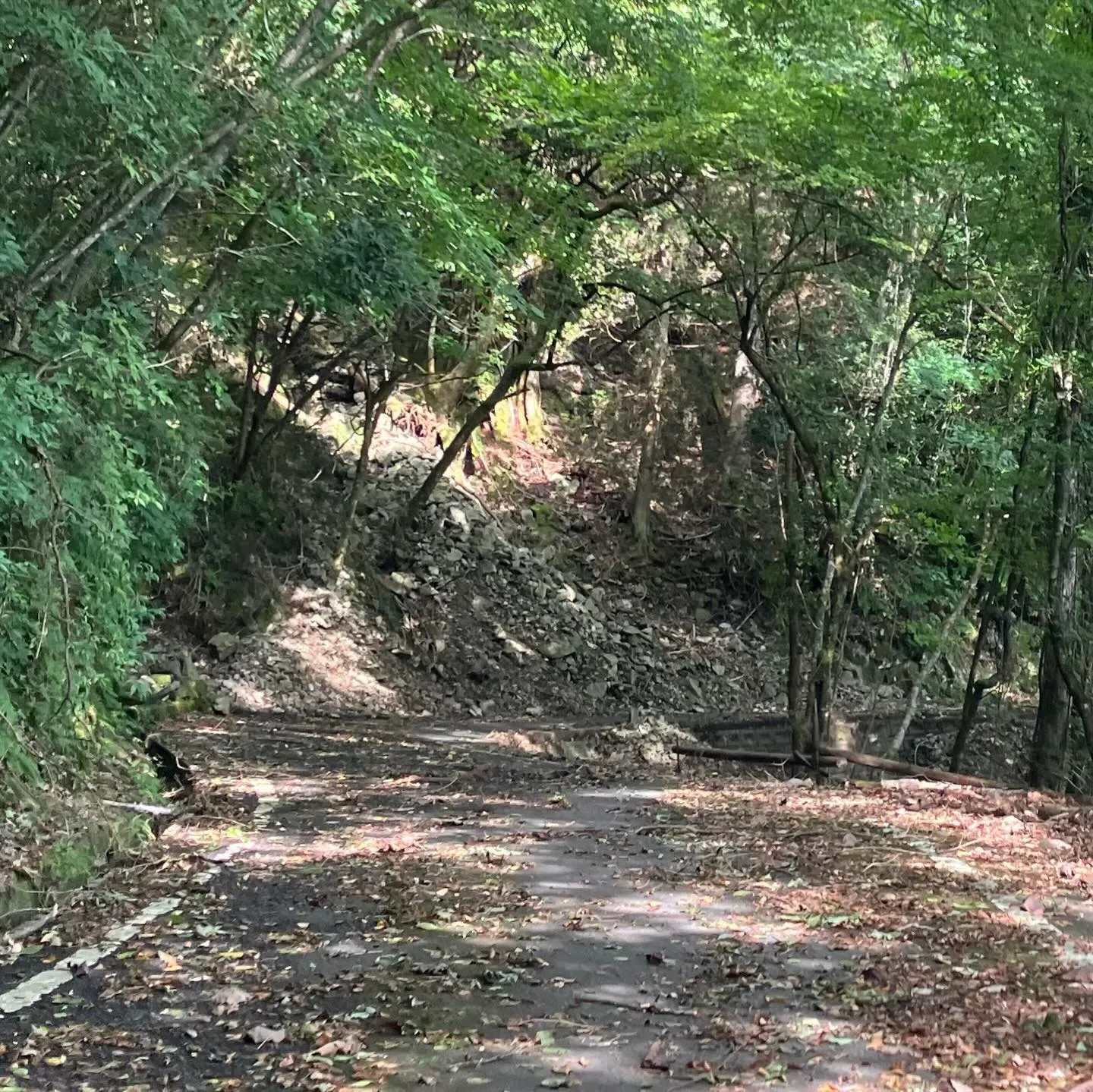 九州の屋根 九州脊梁山地の名峰 扇山へのアクセスロード🚙