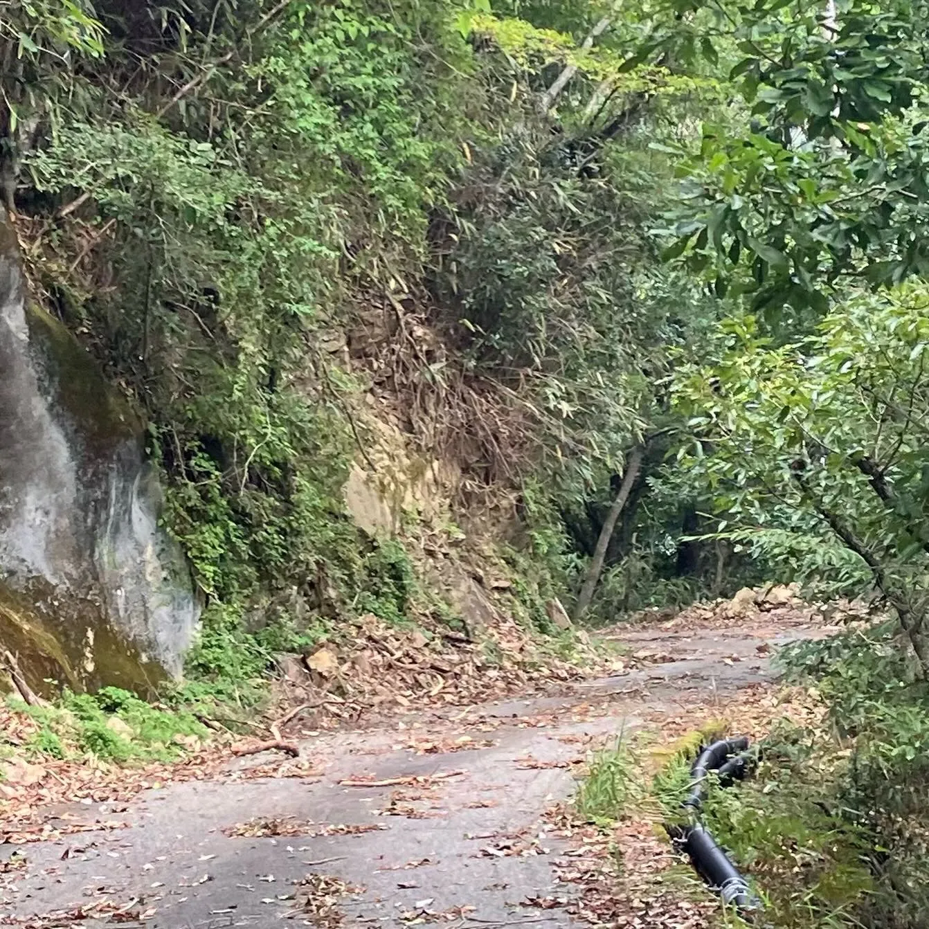 九州の屋根 九州脊梁山地の名峰 扇山へのアクセスロード🚙