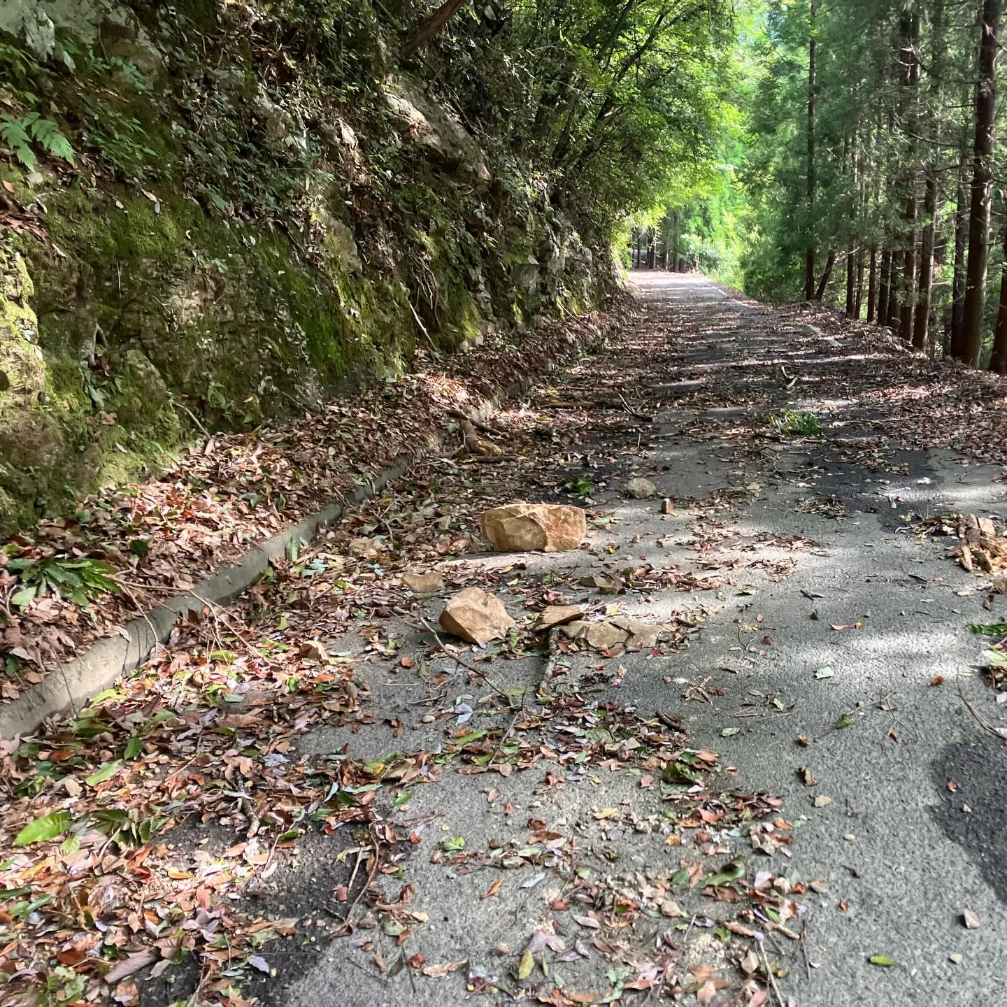 九州の屋根 九州脊梁山地の名峰 扇山へのアクセスロード🚙