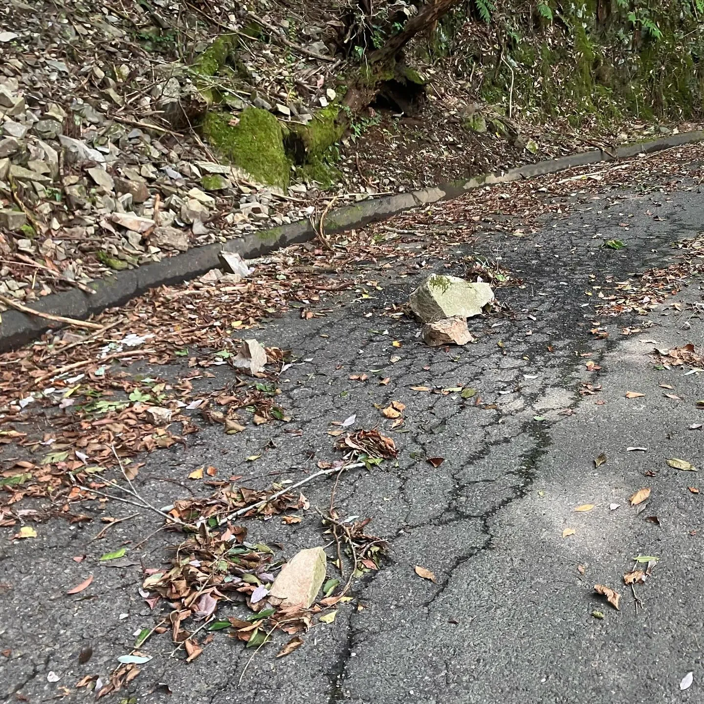 九州の屋根 九州脊梁山地の名峰 扇山へのアクセスロード🚙