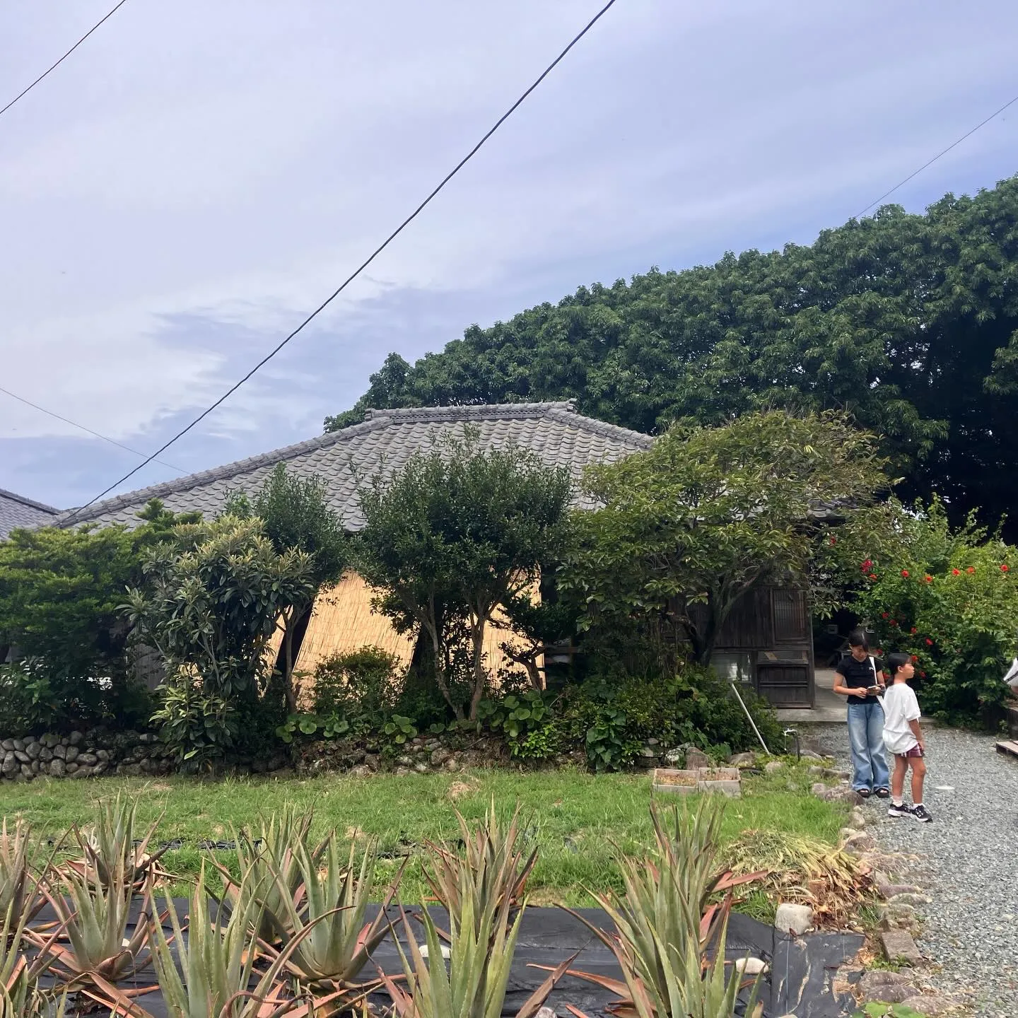鹿児島県の離島 甑島🏝️
