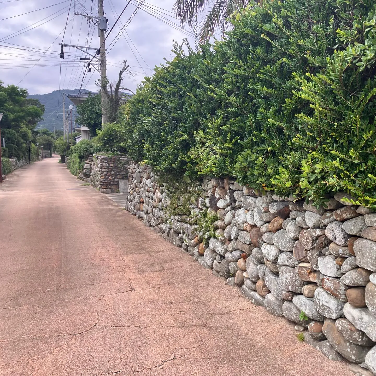 鹿児島県の離島 甑島🏝️