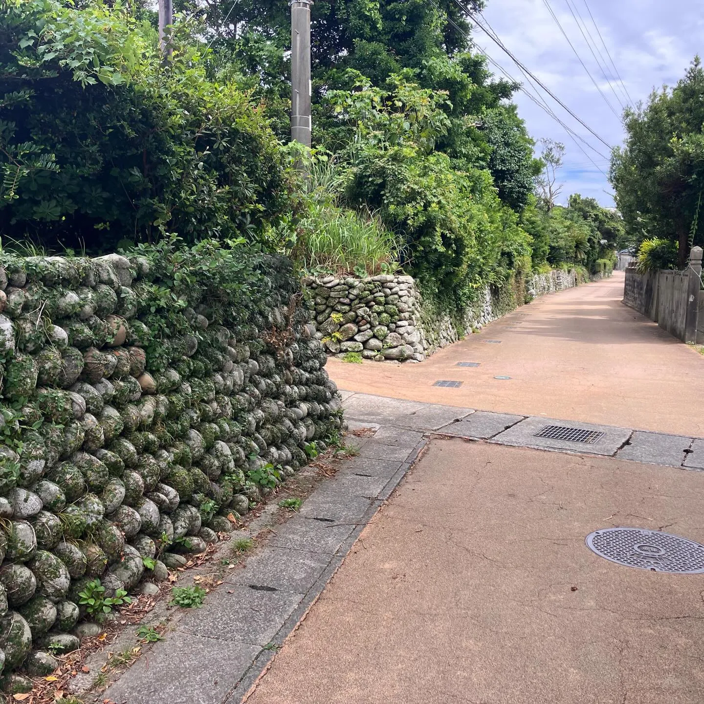 鹿児島県の離島 甑島🏝️