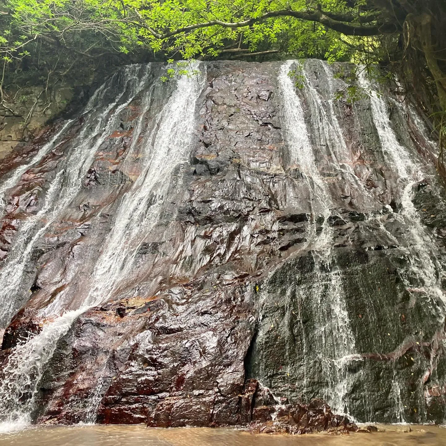 鹿児島県の離島、甑島🏝️