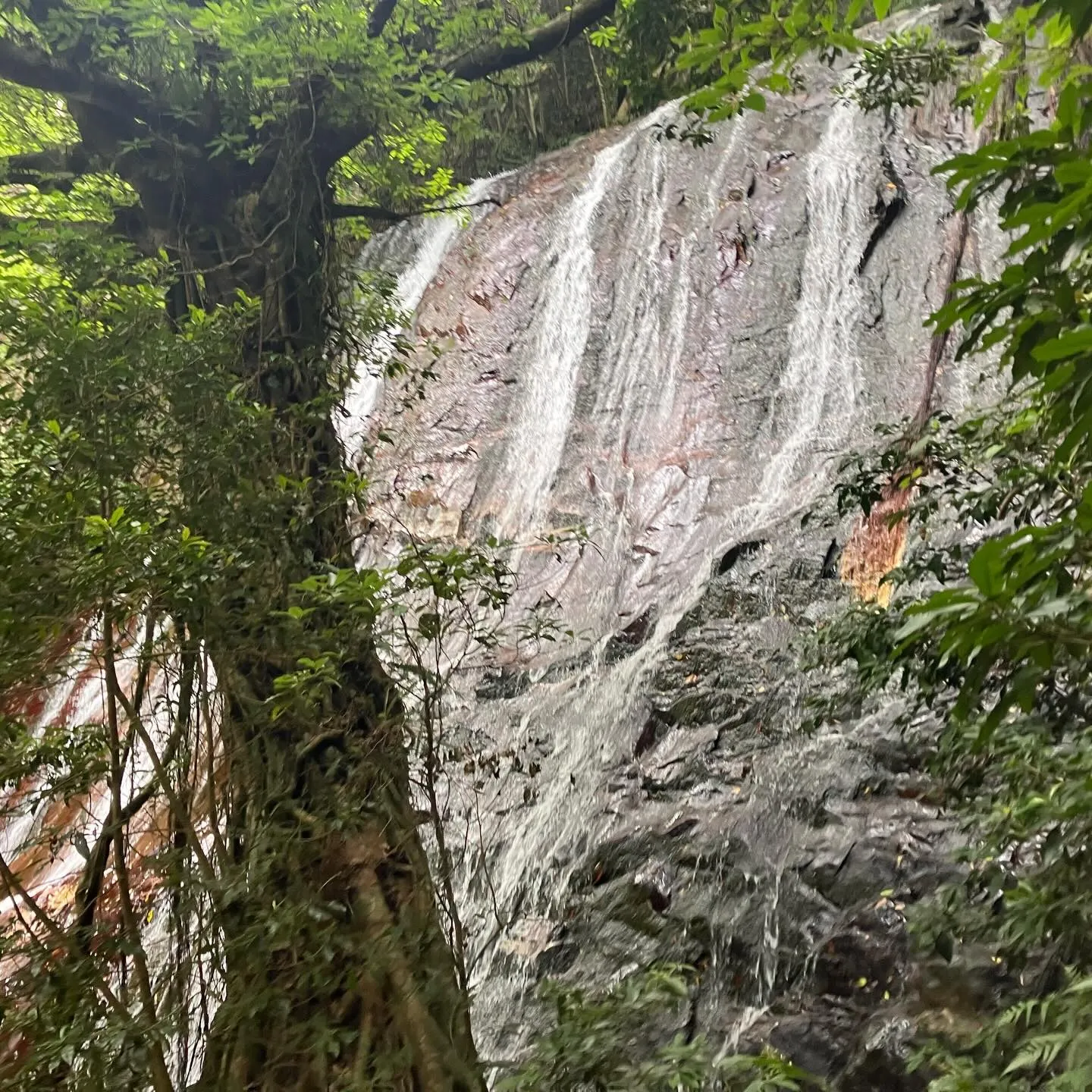 鹿児島県の離島、甑島🏝️