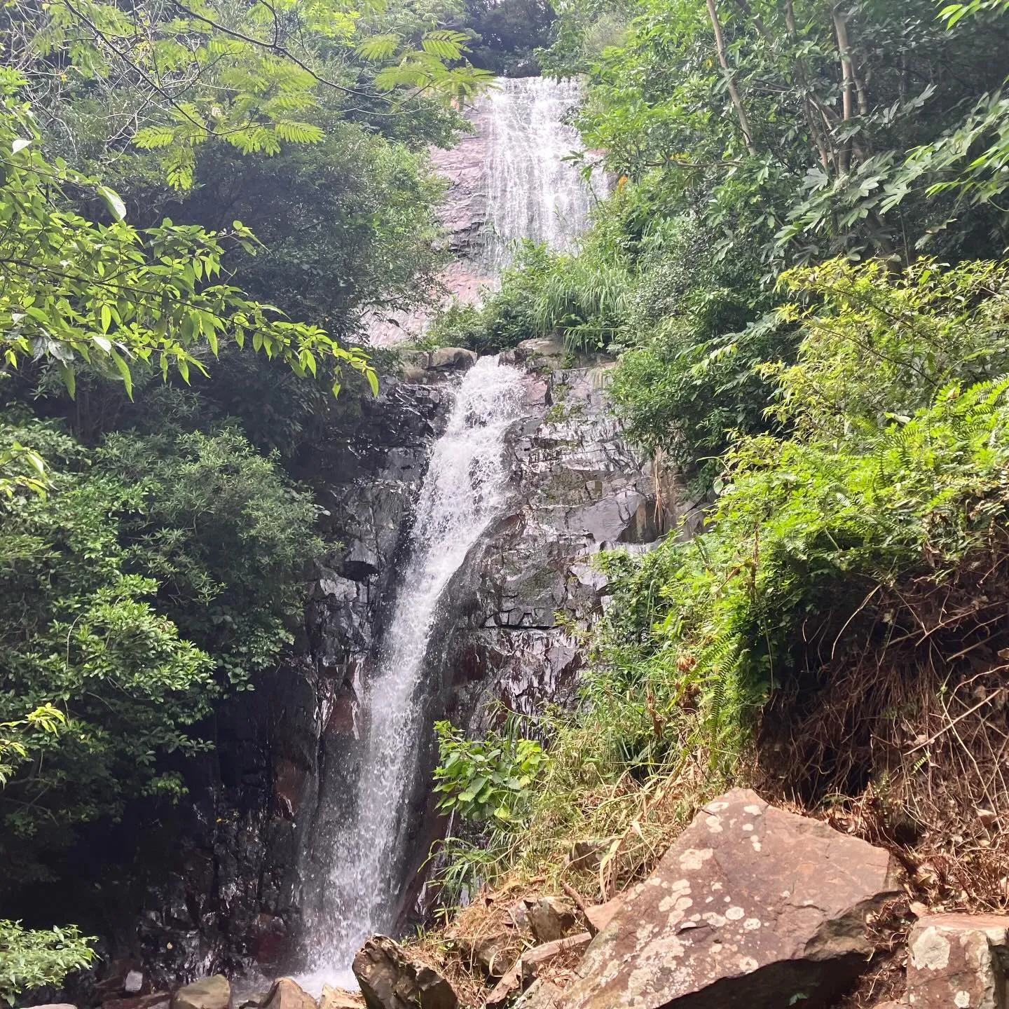 鹿児島県の離島、甑島🏝️