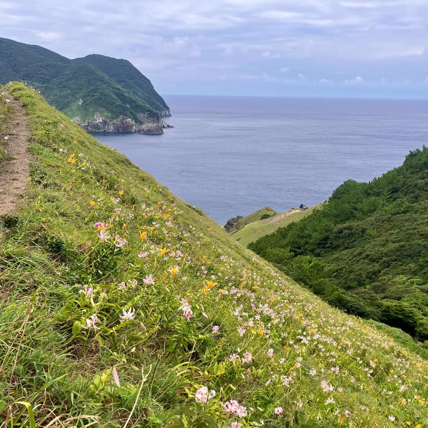国境の離島 鹿児島の甑島で奇跡の絶景❗️🤩