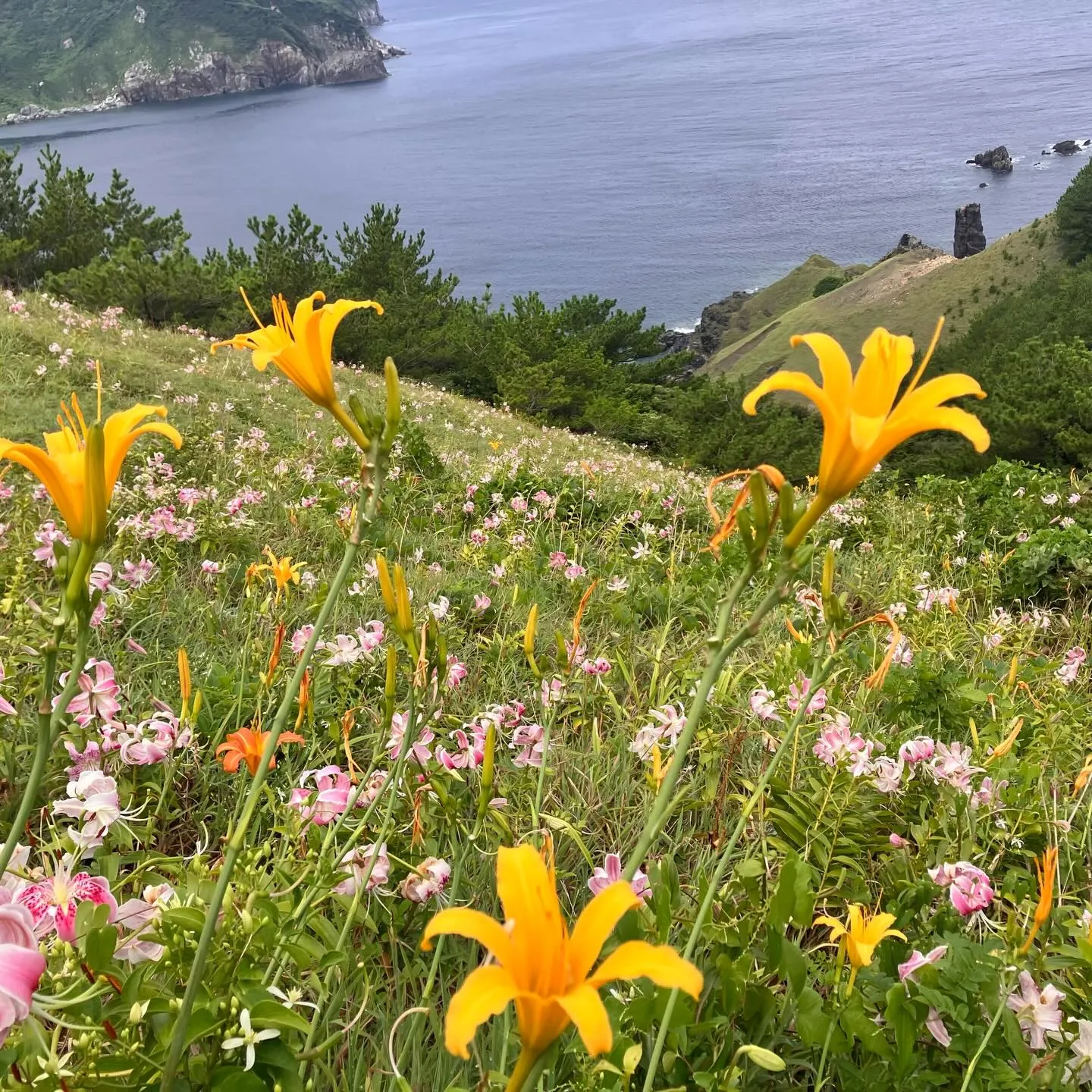 国境の離島 鹿児島の甑島で奇跡の絶景❗️🤩