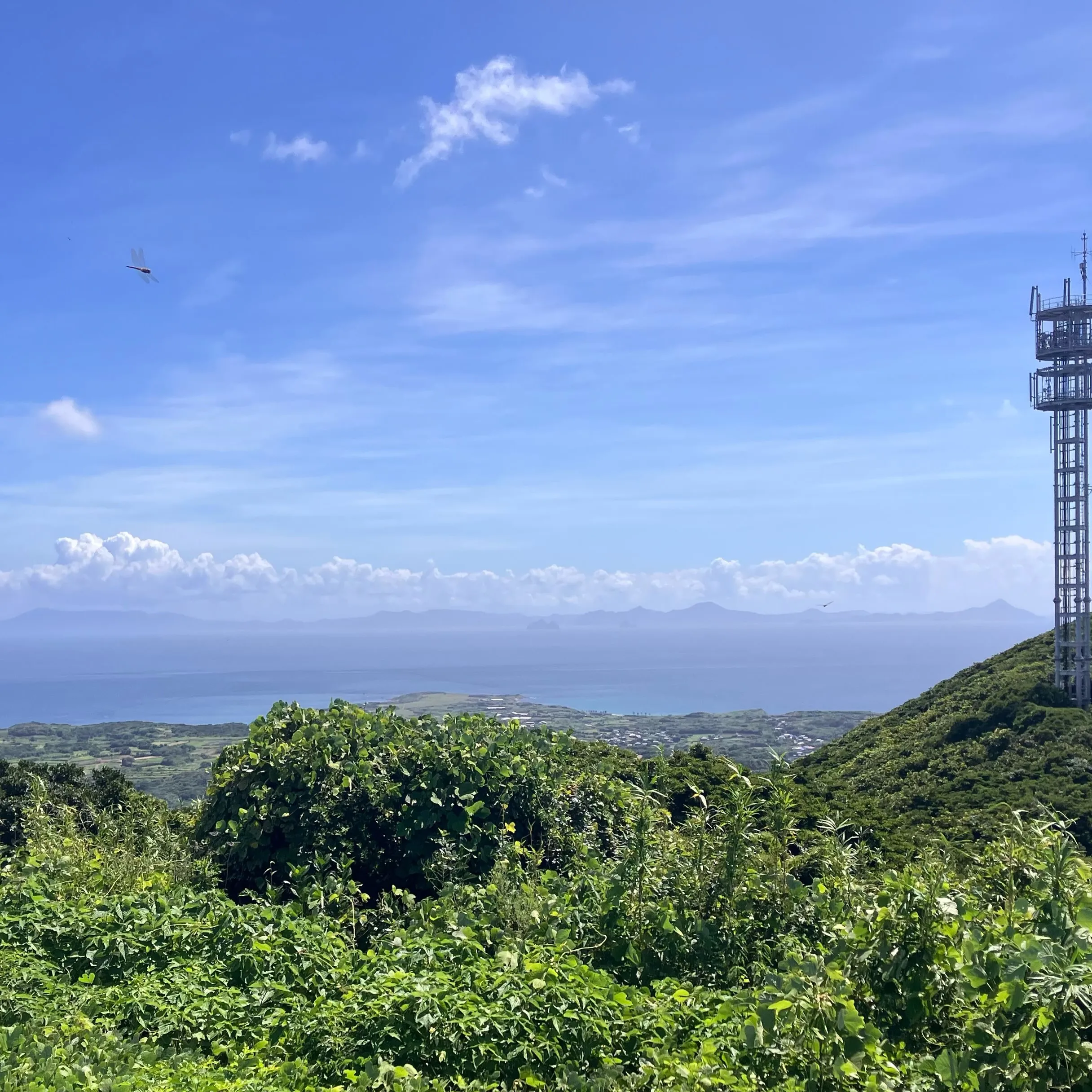 九州の離島 五島列島の宇久島のしま山百選 城ヶ岳⛰️🏝️