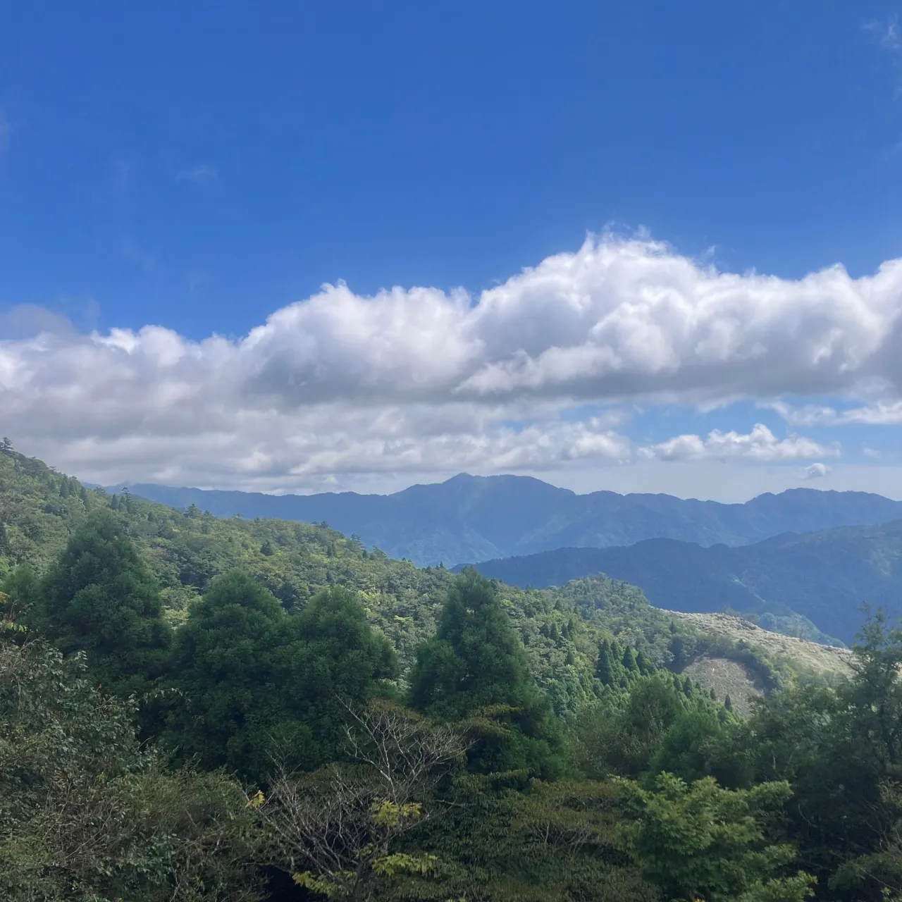 祖母山系の本谷山⛰️