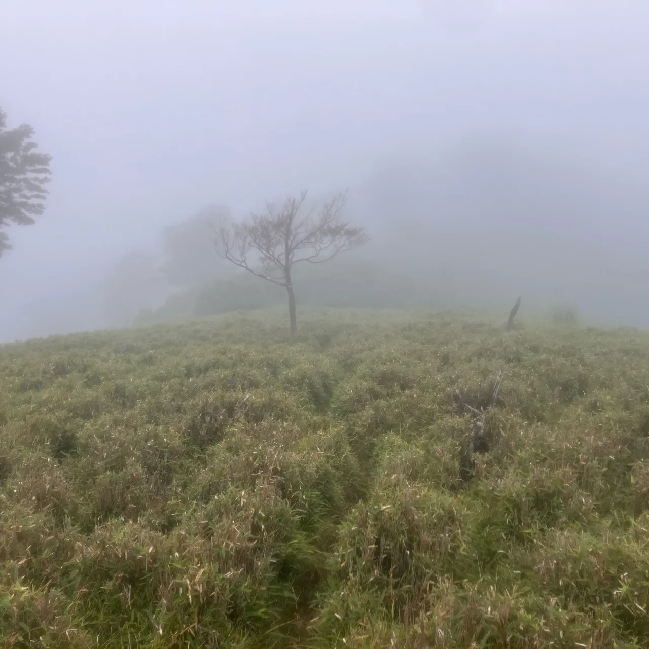 祖母山系の本谷山⛰️