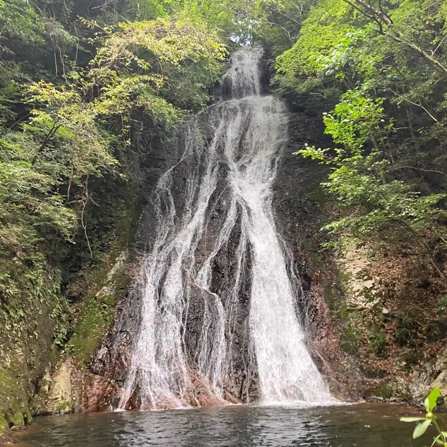 天岩戸神社⛩️から更に奥深い山に車を走らせると、絹糸のような...